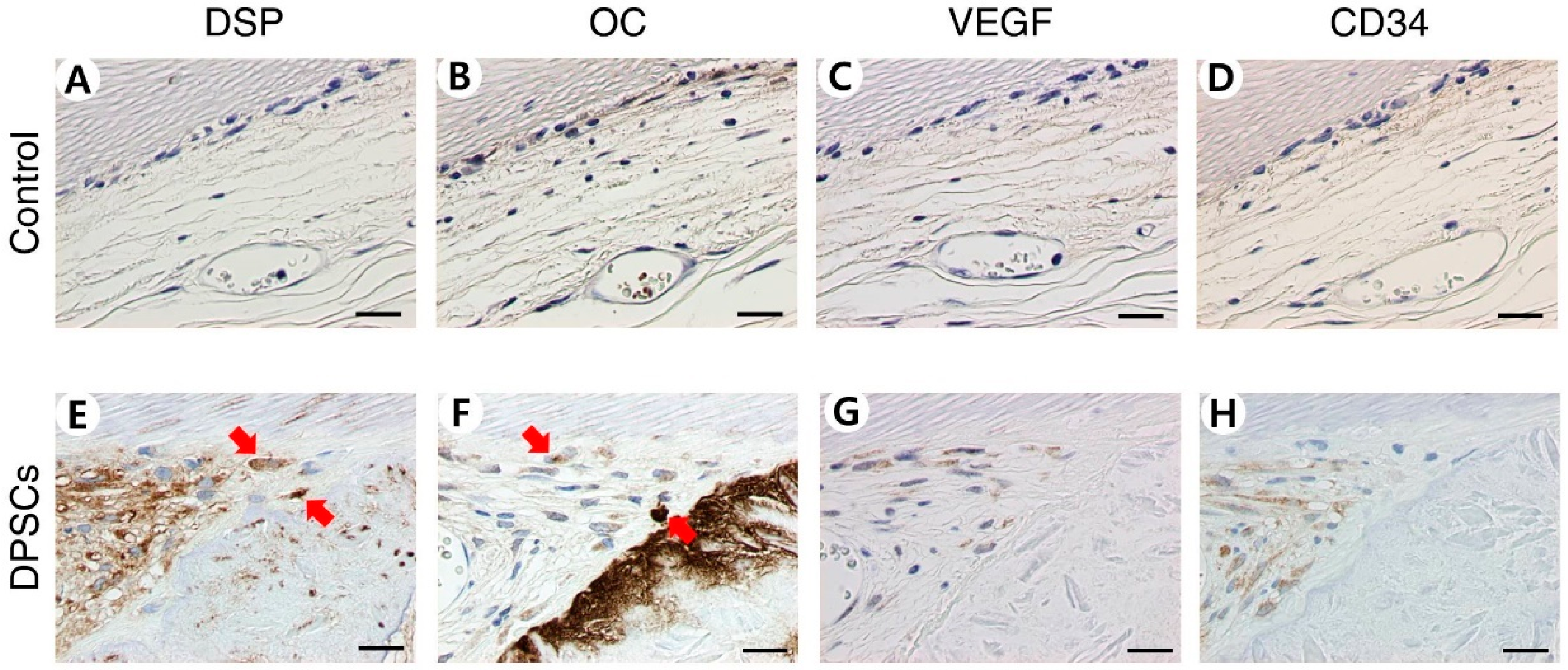 Applsci 11 08472 g005 Applsci 11 08472 g005