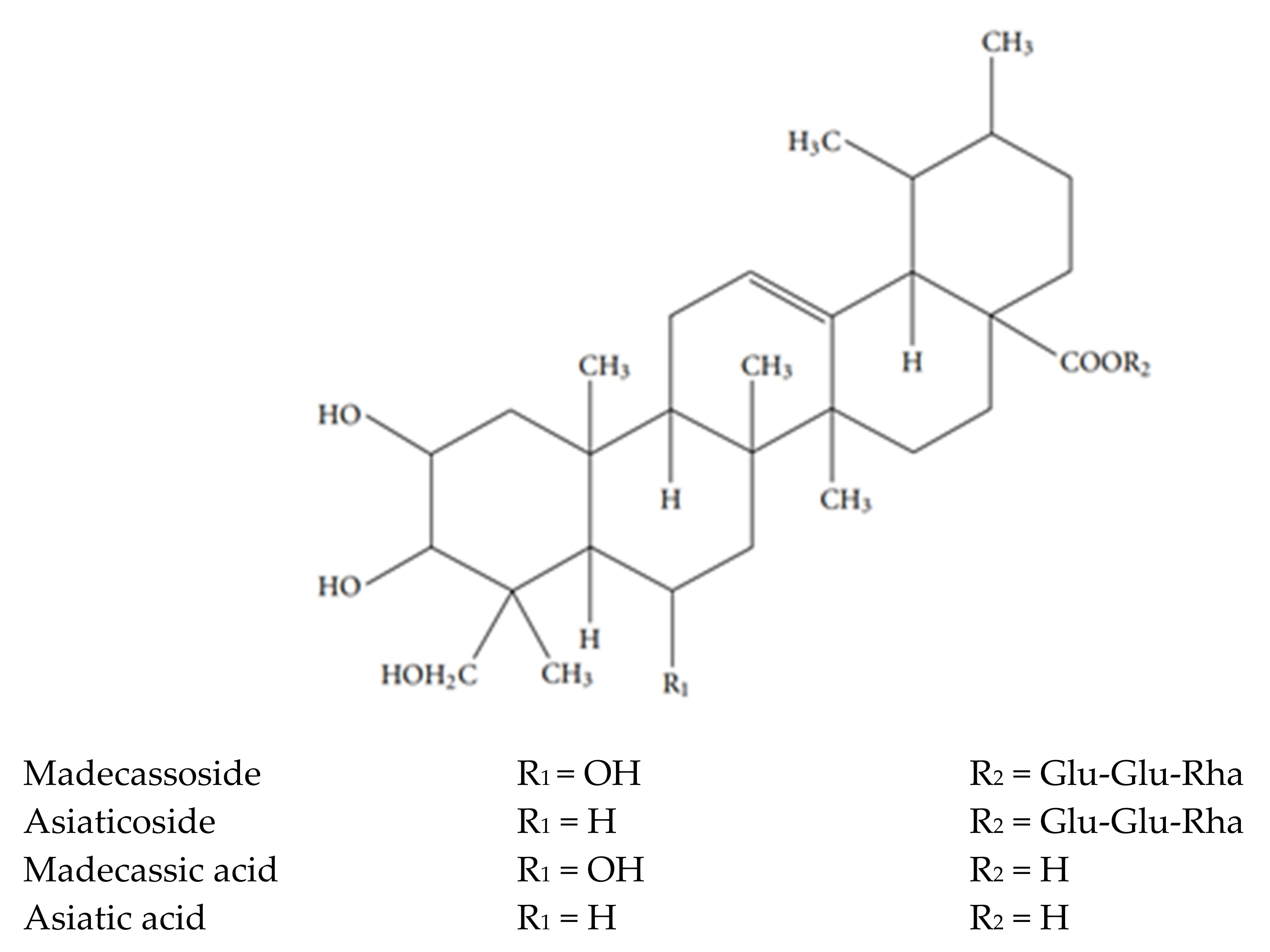 Applsci 11 08475 g002