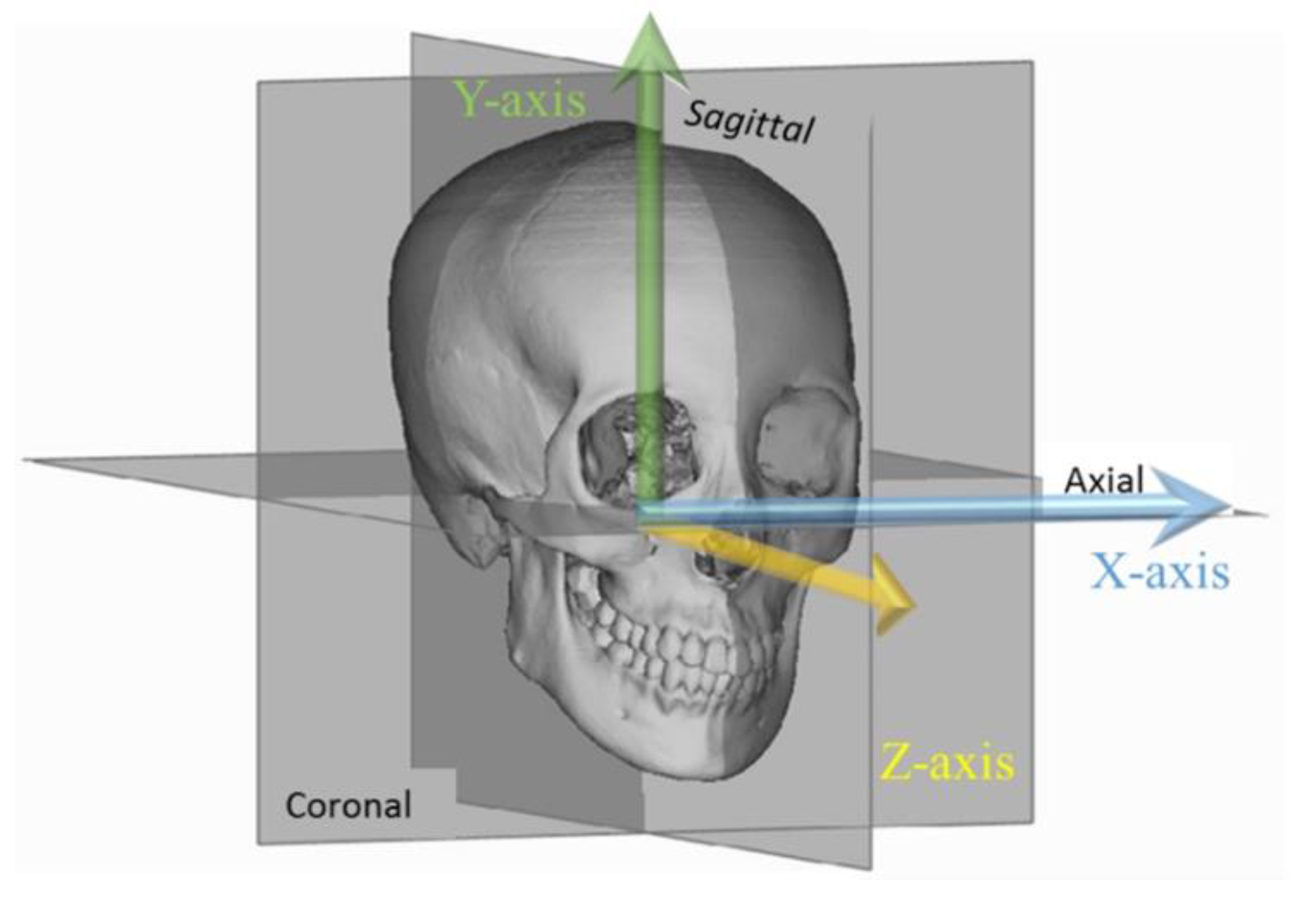 Applied Sciences Free FullText The Effects of Chewing Exercises on