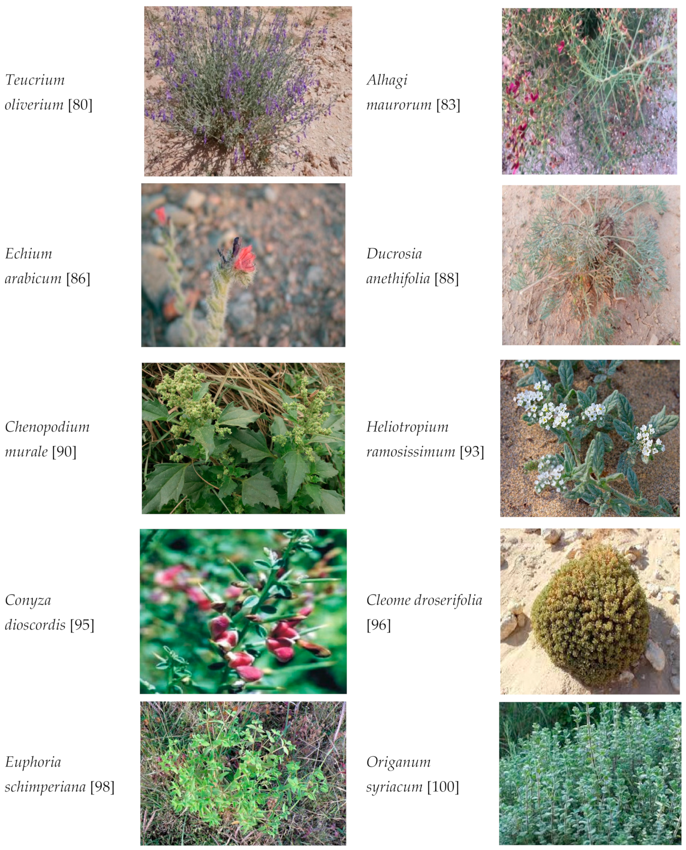 Applsci 11 08494 g001