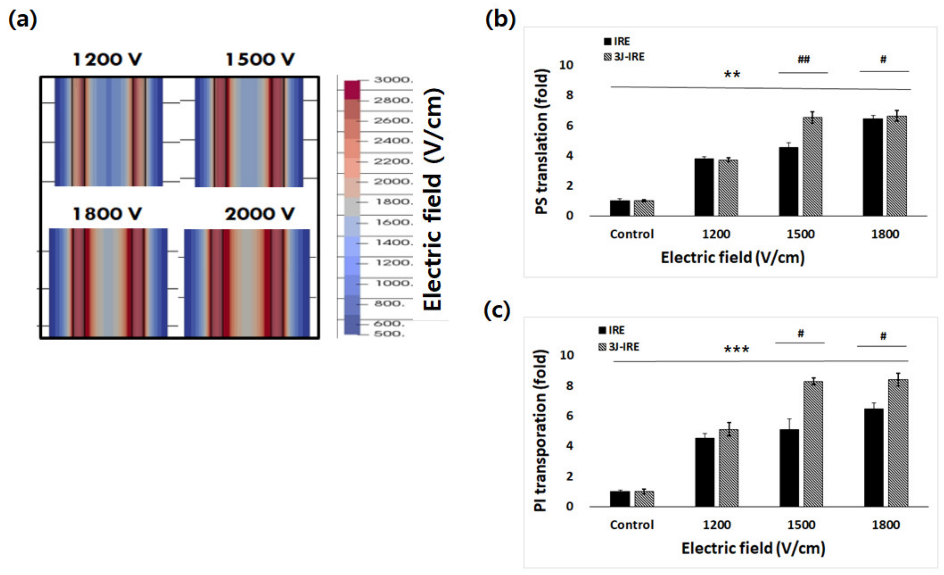 Applsci 11 08504 g002