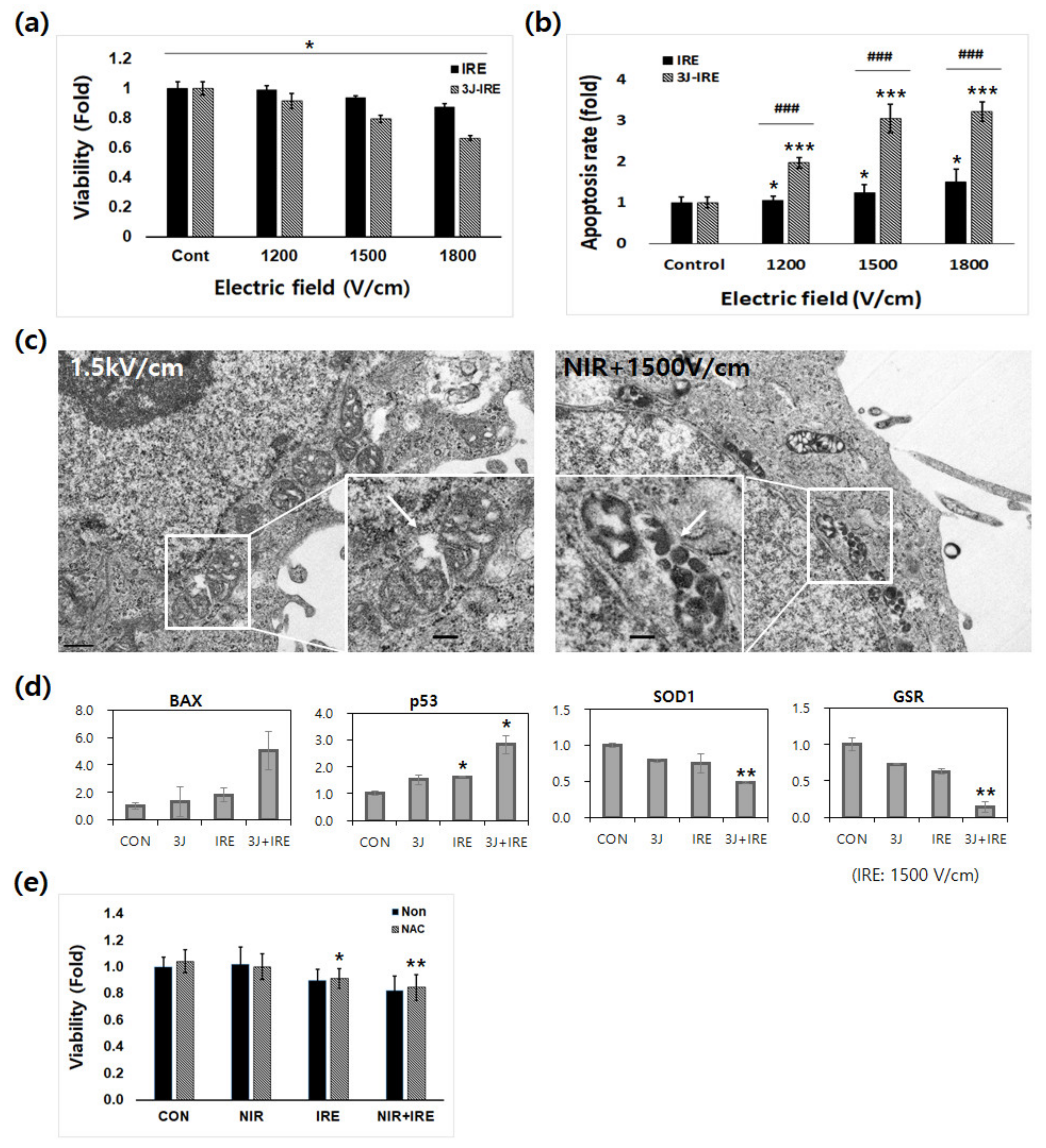 Applsci 11 08504 g003