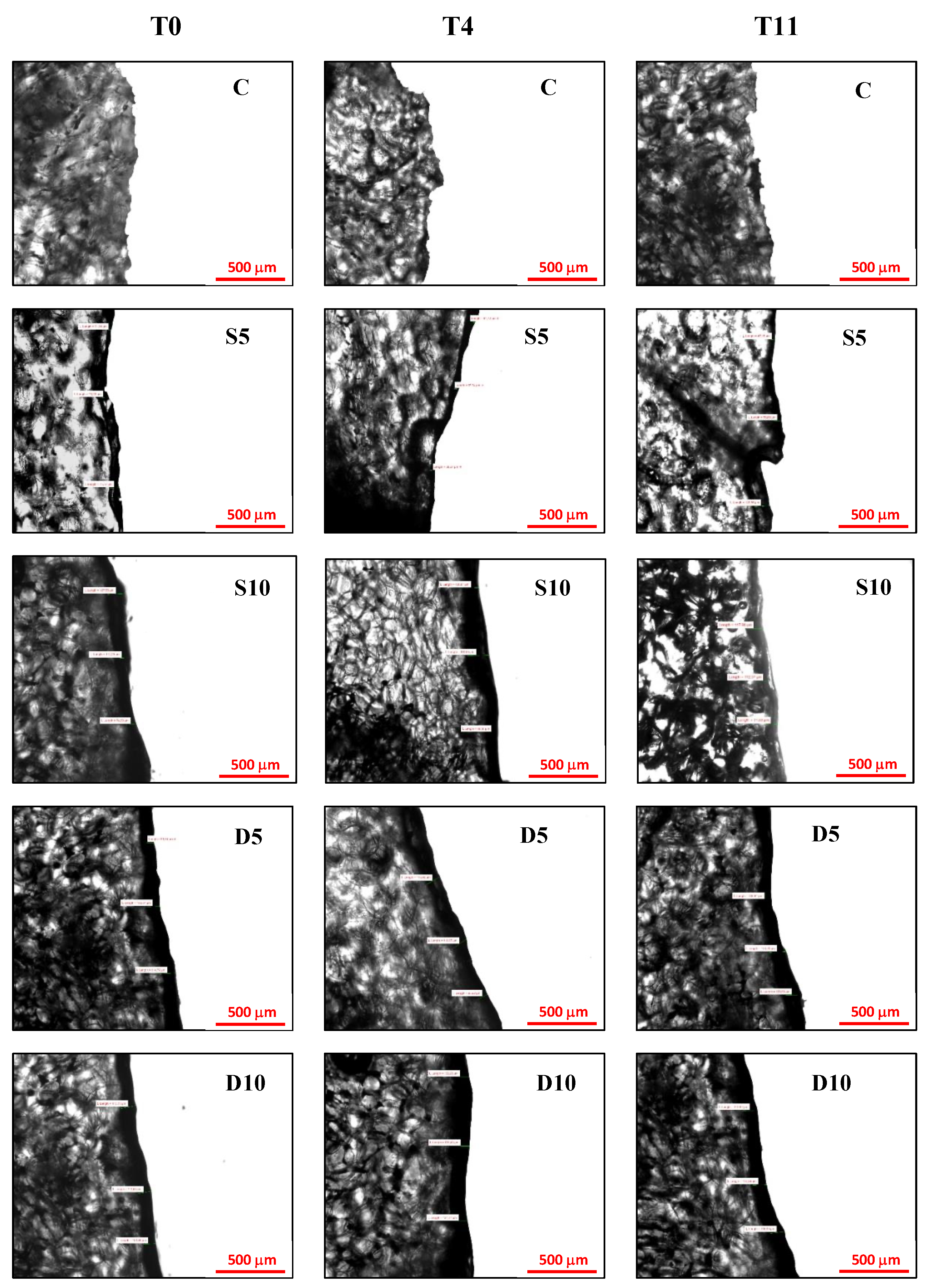 Applsci 11 08510 g002 550