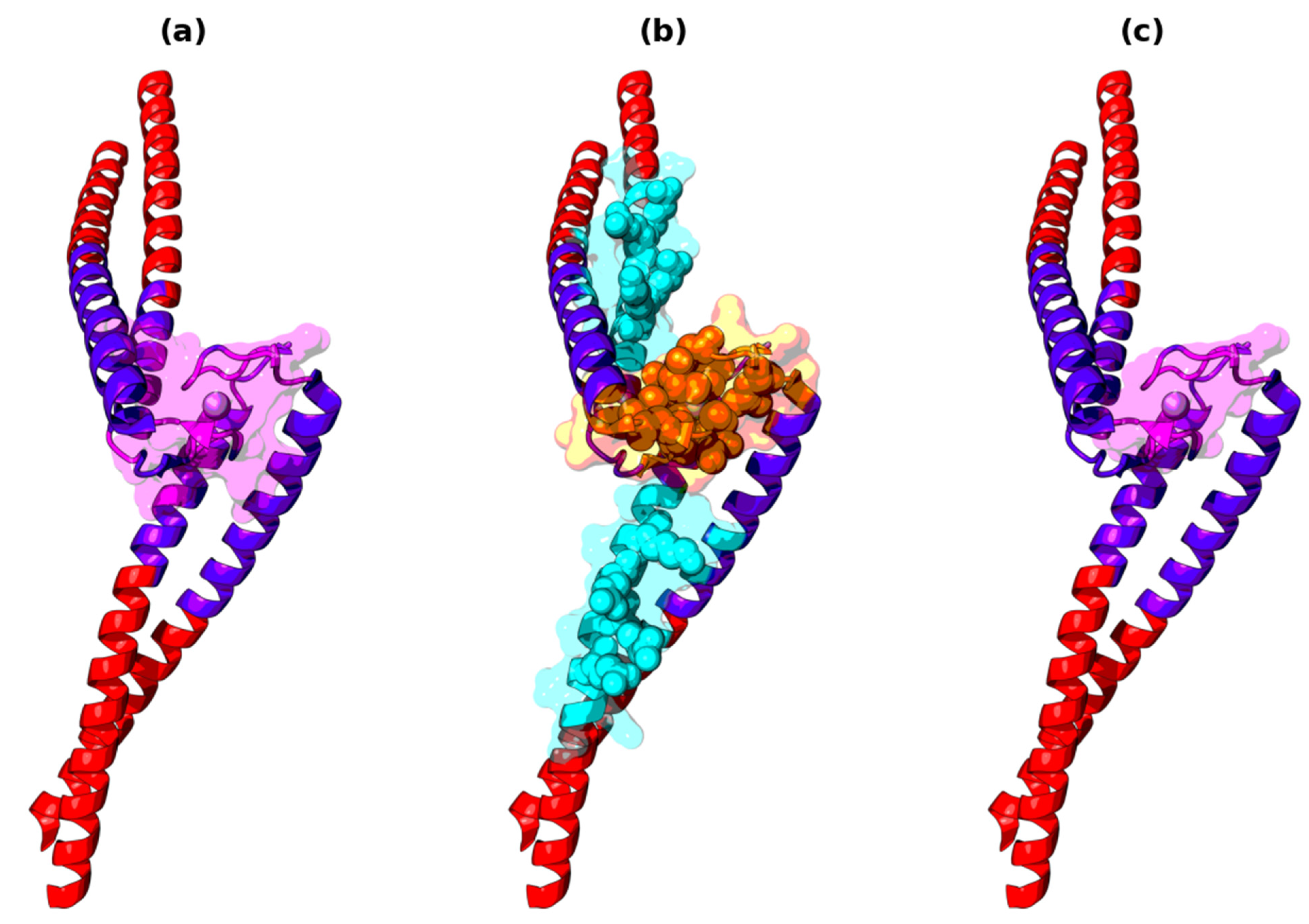 Applsci 11 08514 g012