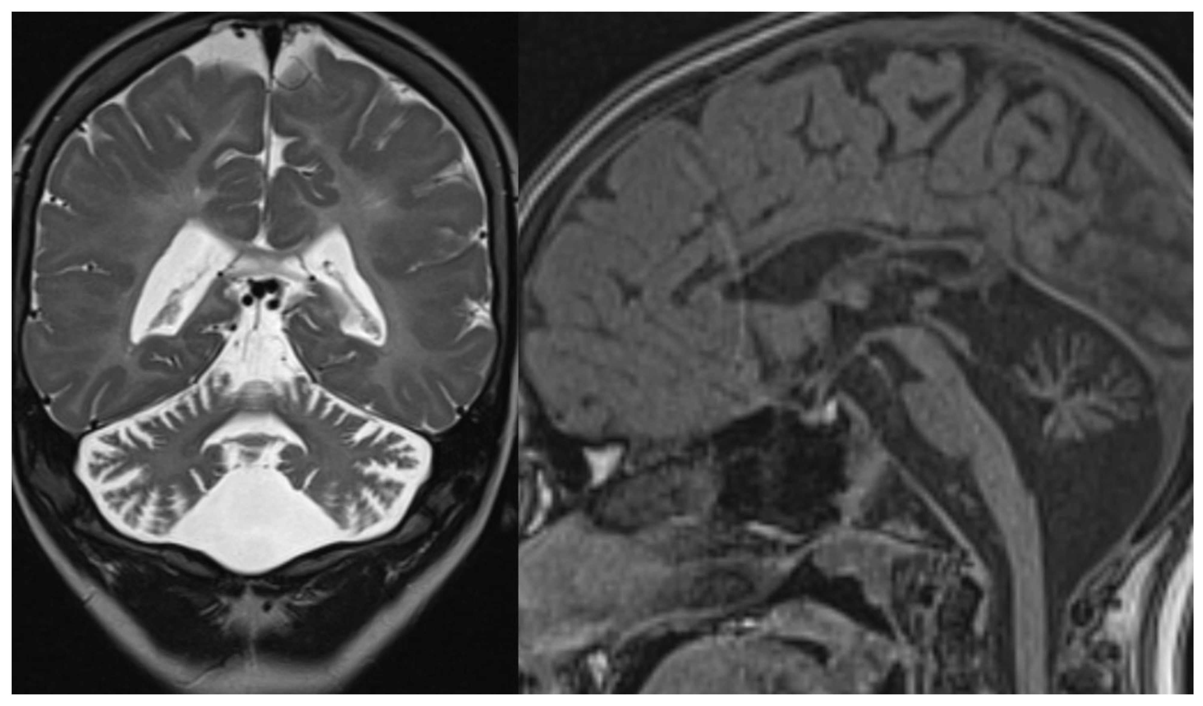 Applsci 11 08522 g011 550