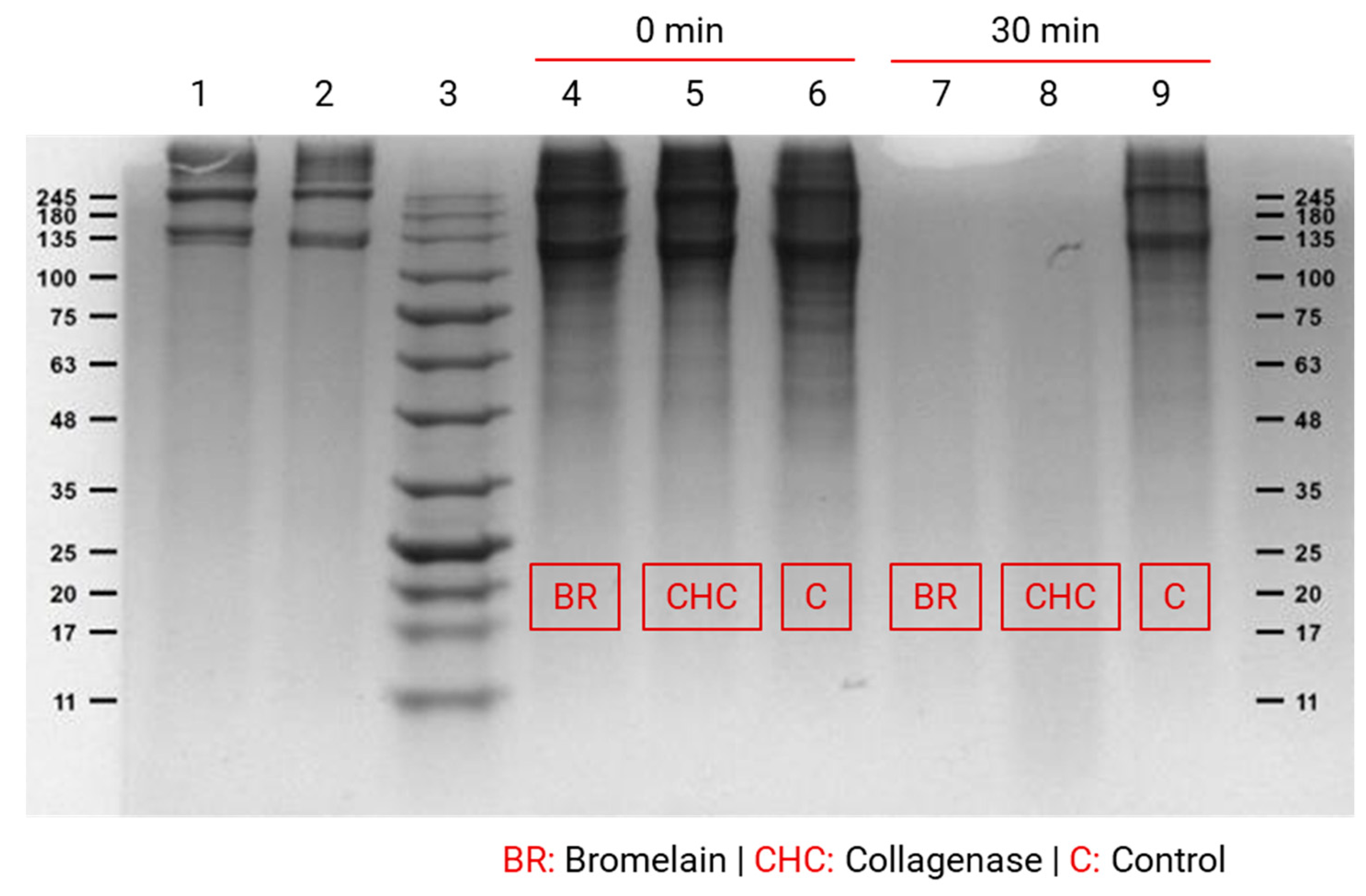 Applsci 11 08538 g002