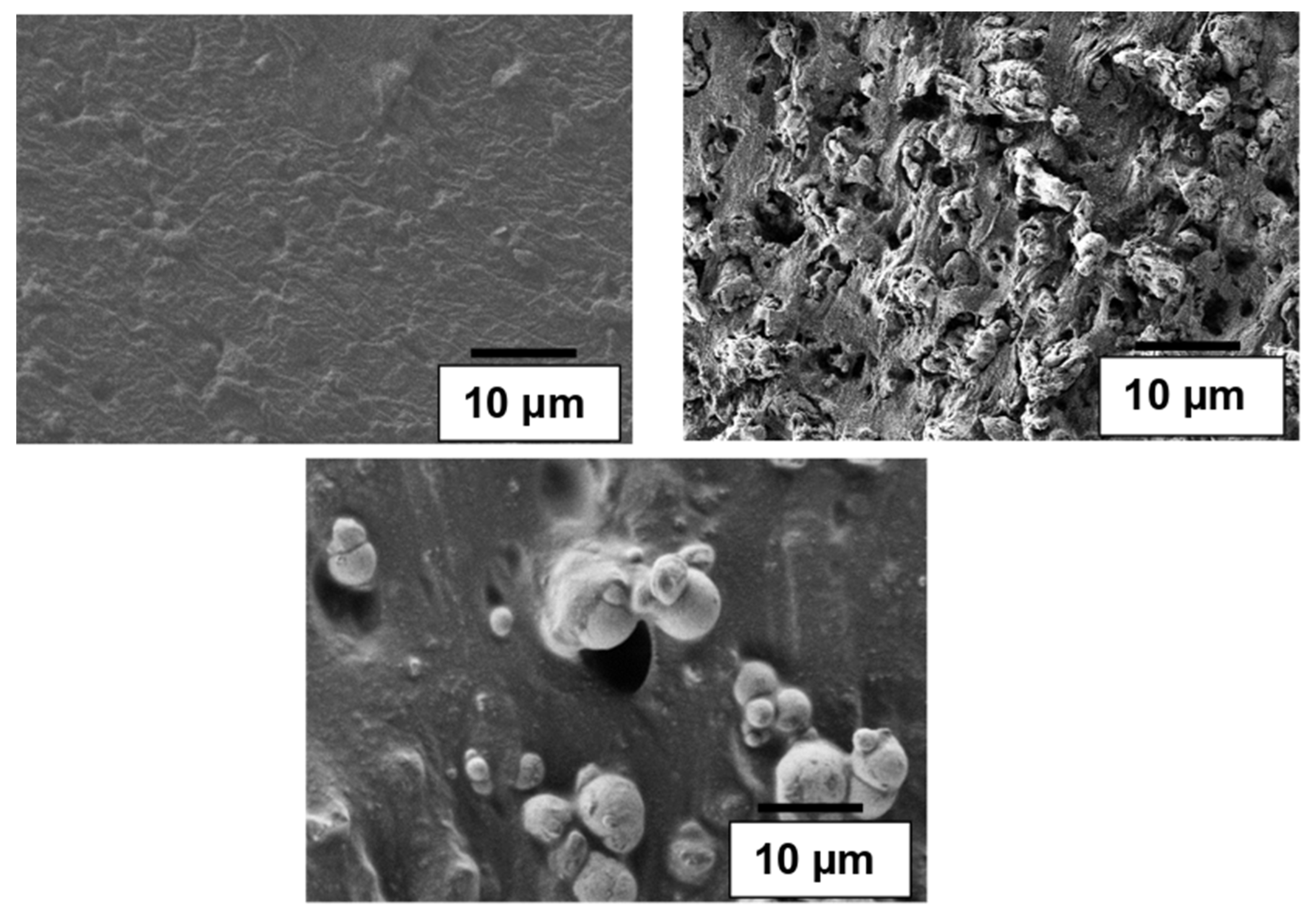 Applsci 11 08561 g005 Applsci 11 08561 g005