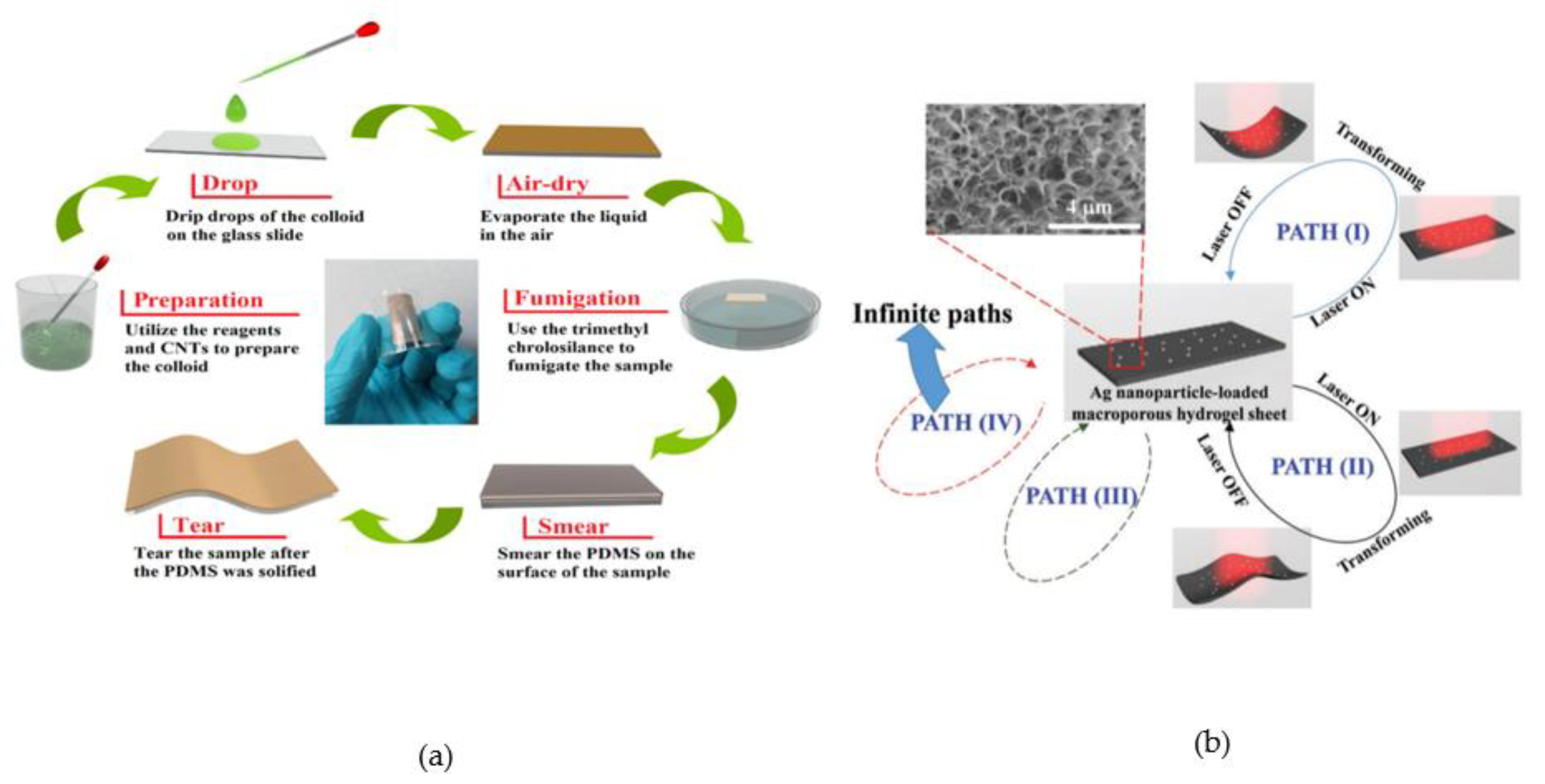 Applsci 11 08563 g006 550