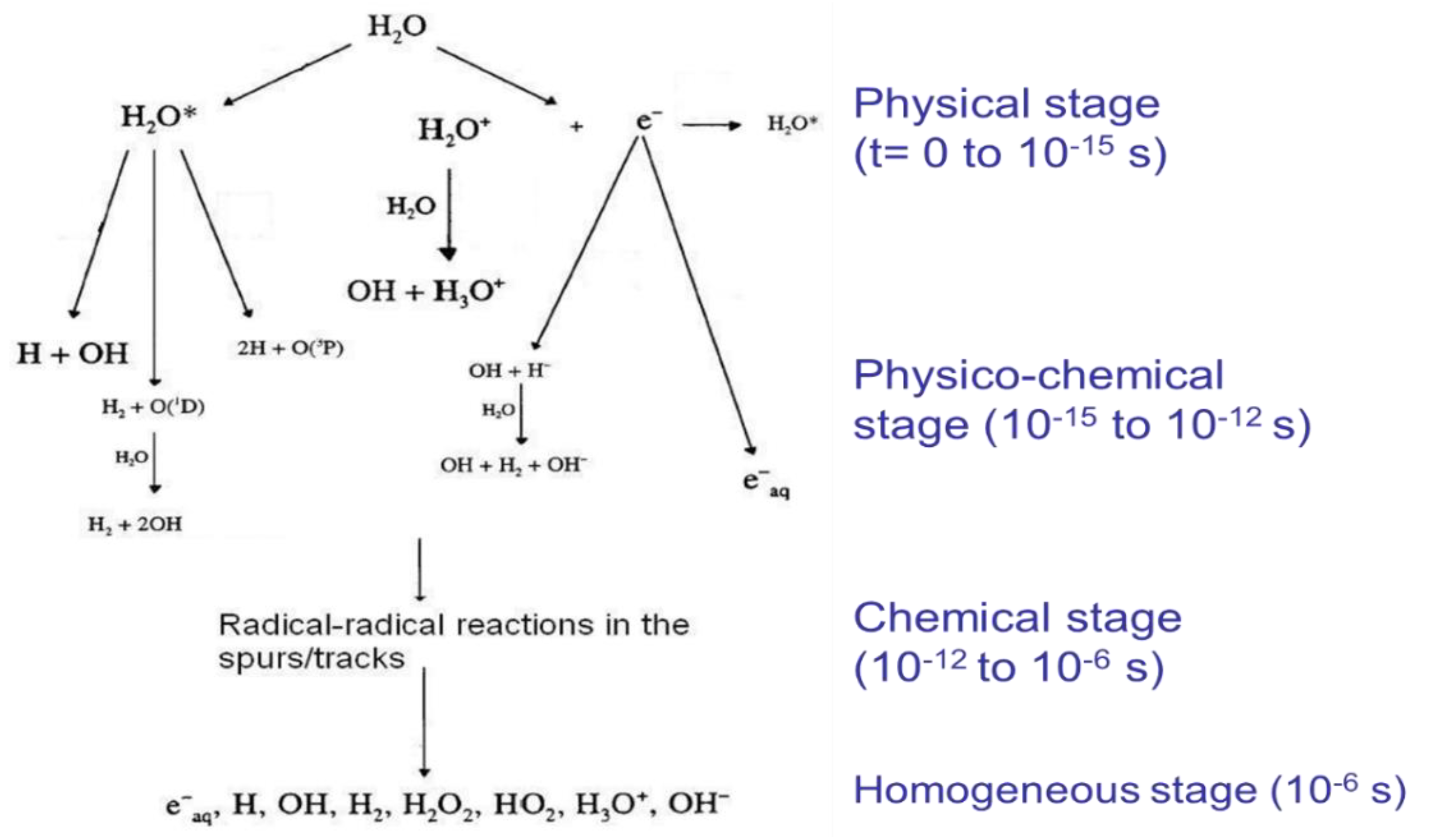 Applsci 11 08566 g004