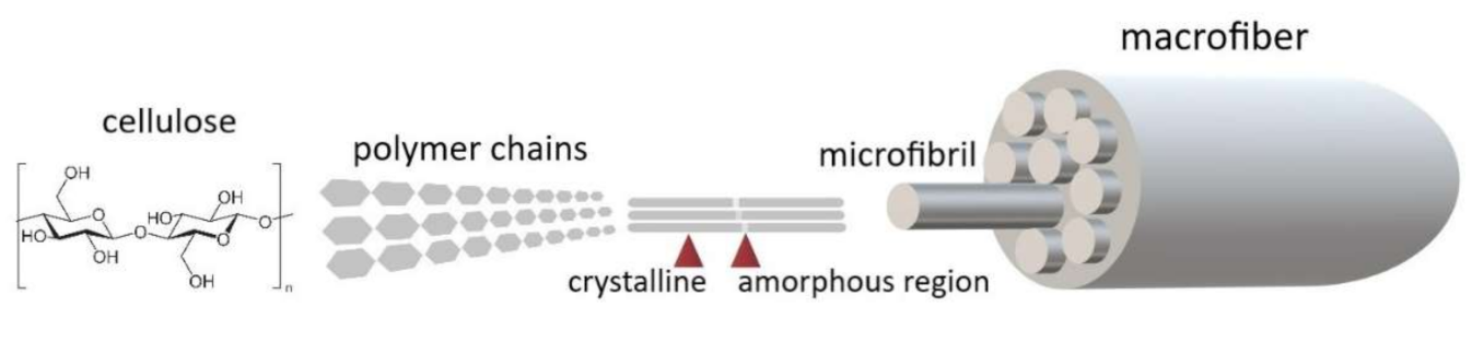 Applsci 11 08570 g001