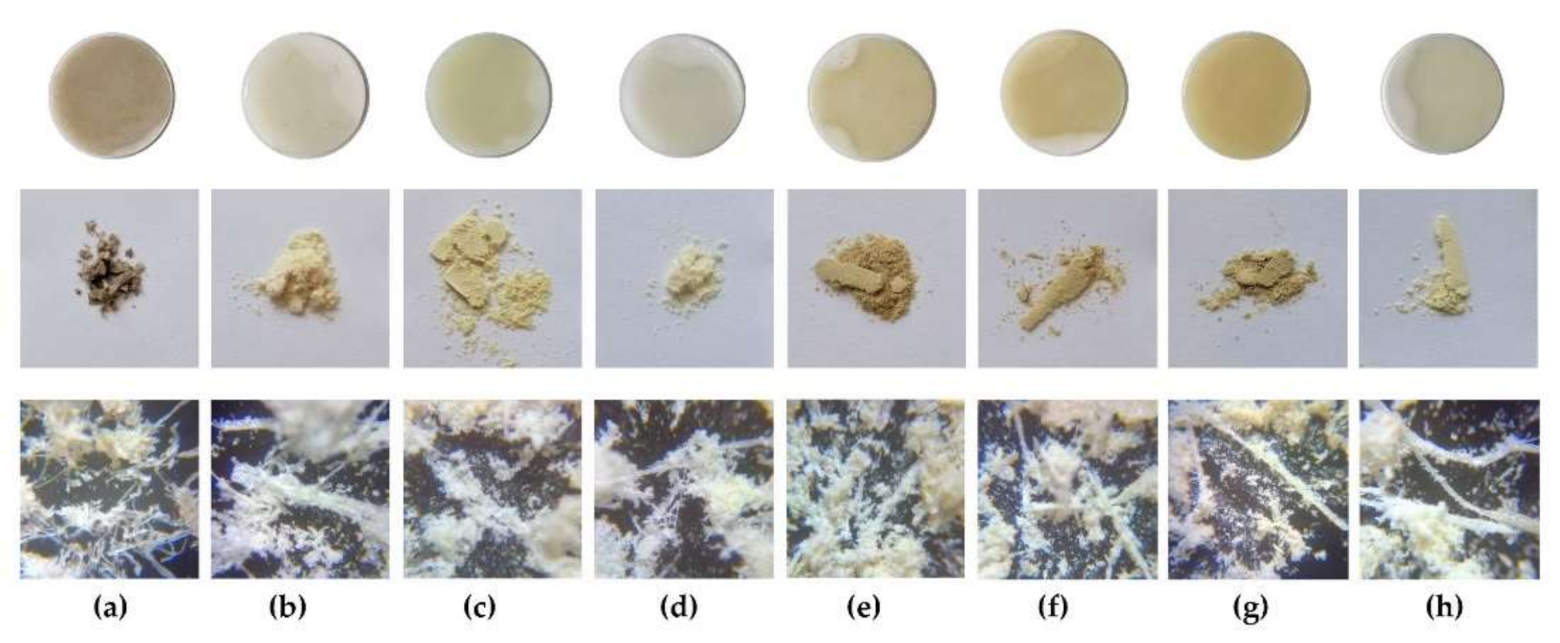 Applsci 11 08570 g003