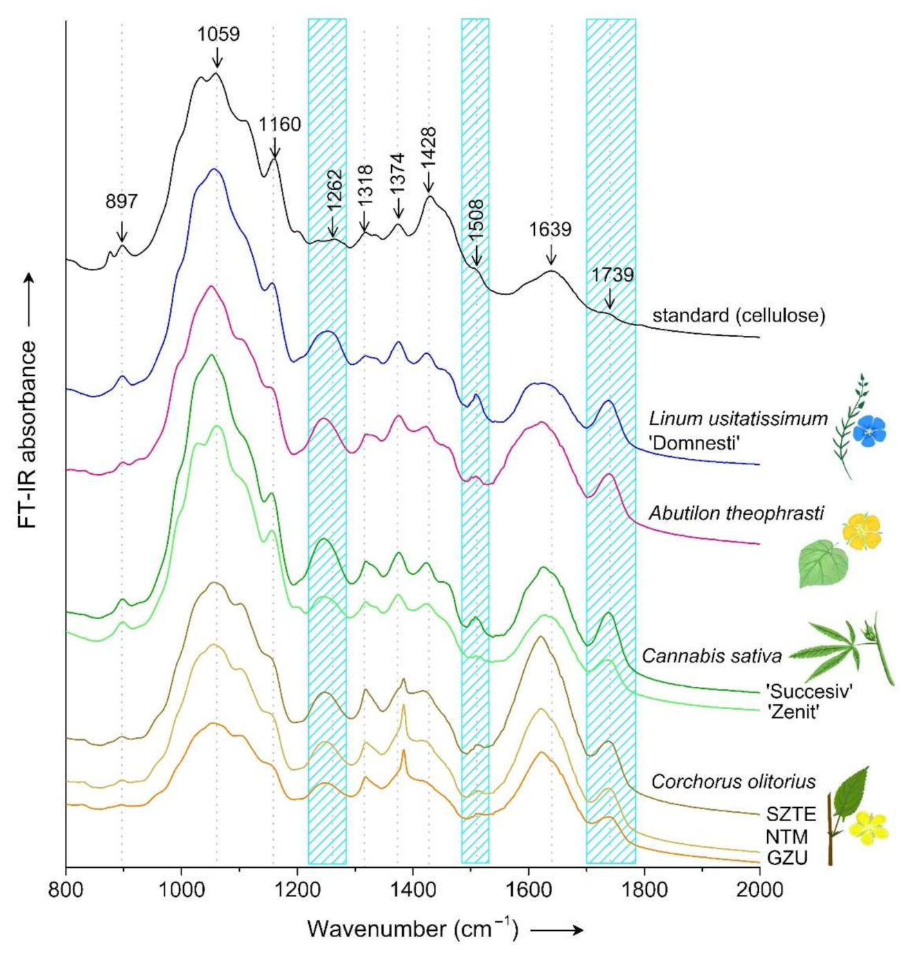Applsci 11 08570 g005
