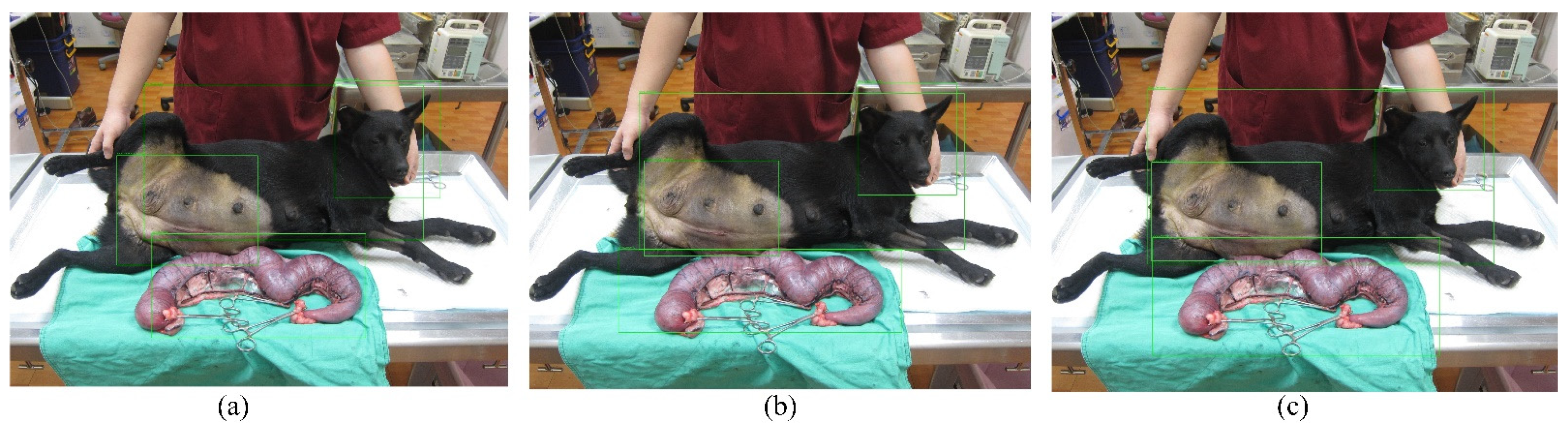 Applsci 11 08578 g006