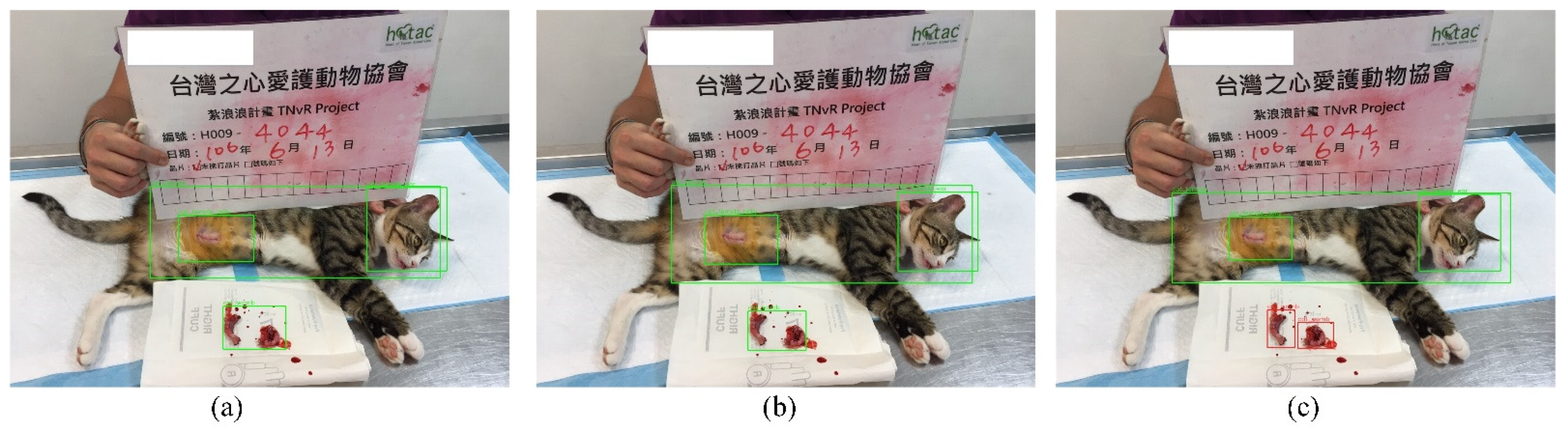 Applsci 11 08578 g008