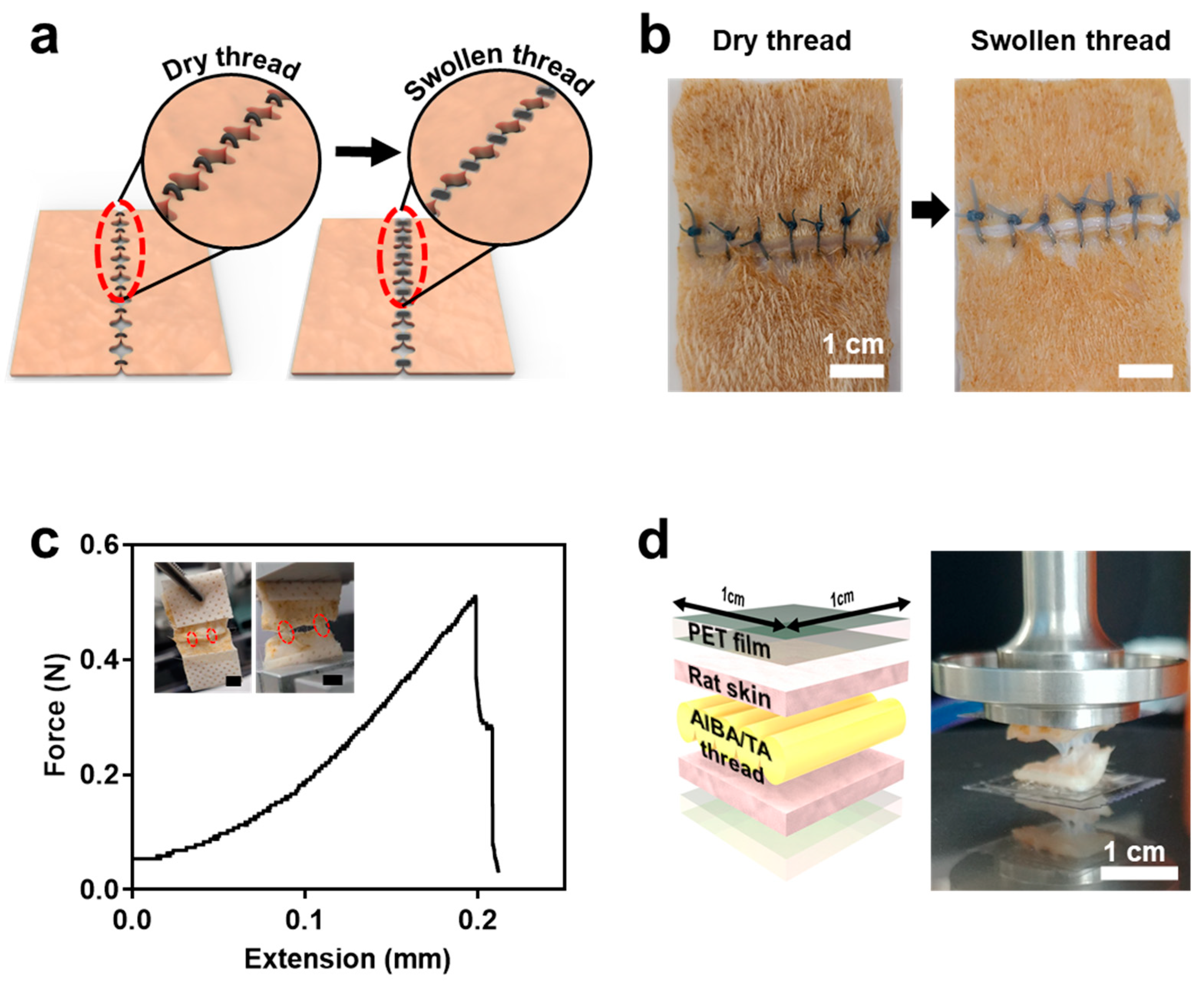 Applsci 11 08591 g004 550