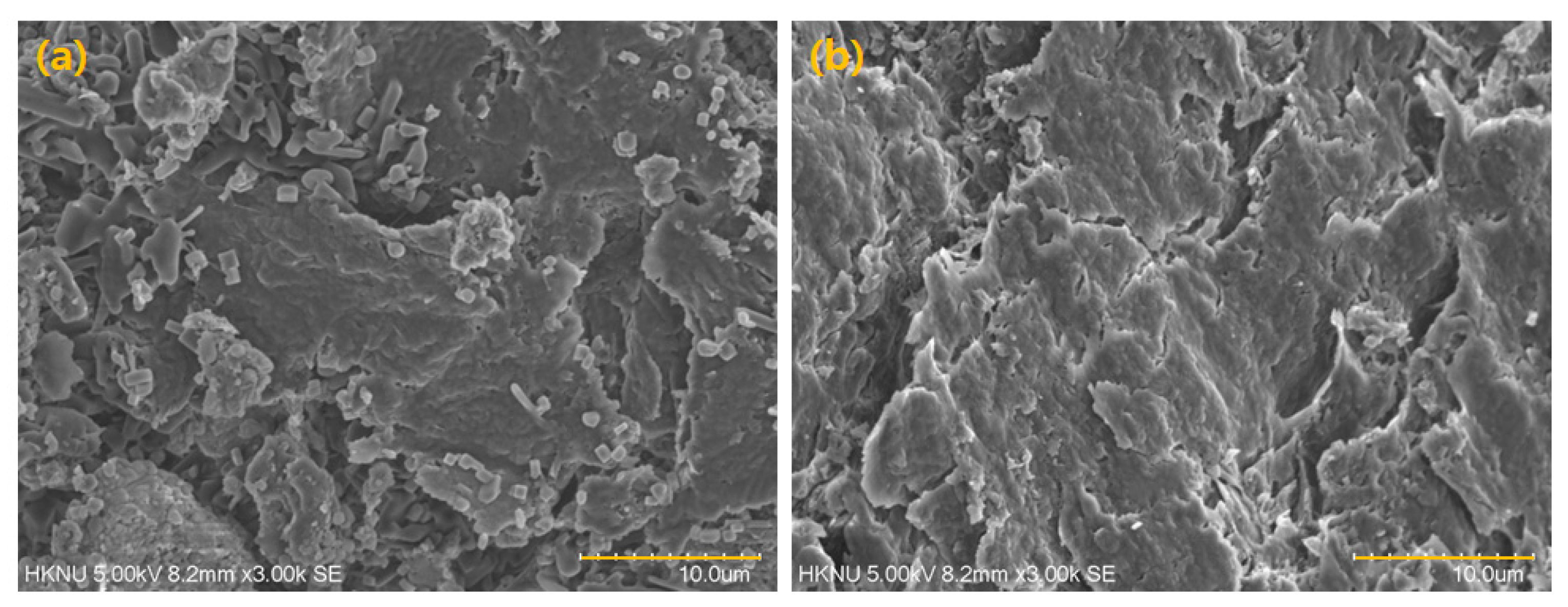 Applsci 11 08604 g003