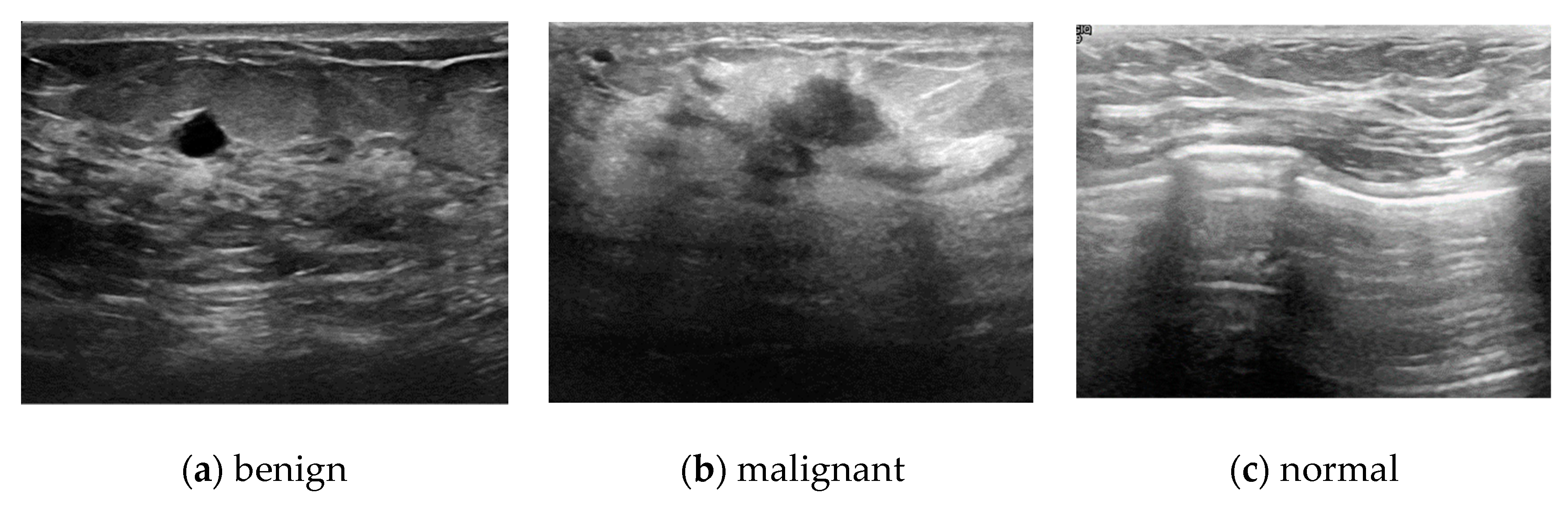 Applsci 11 08621 g003