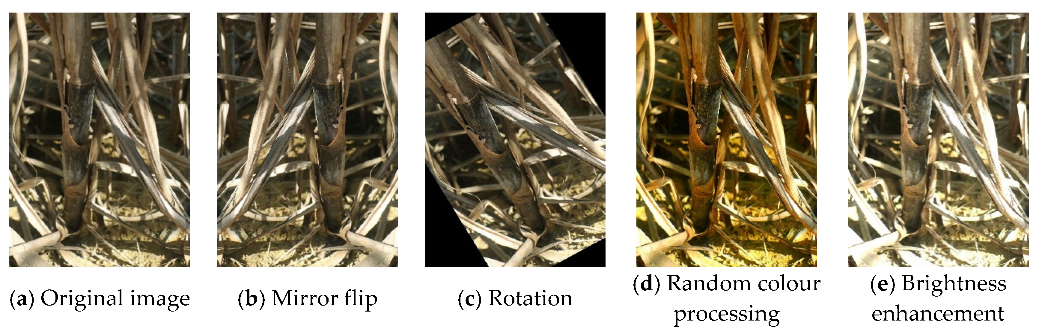 Applsci 11 08663 g003 550