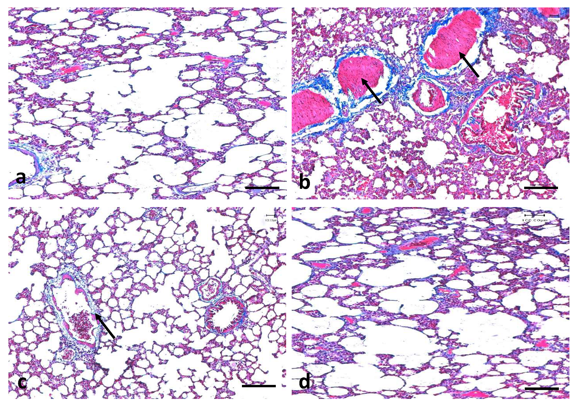 Applsci 11 08675 g010