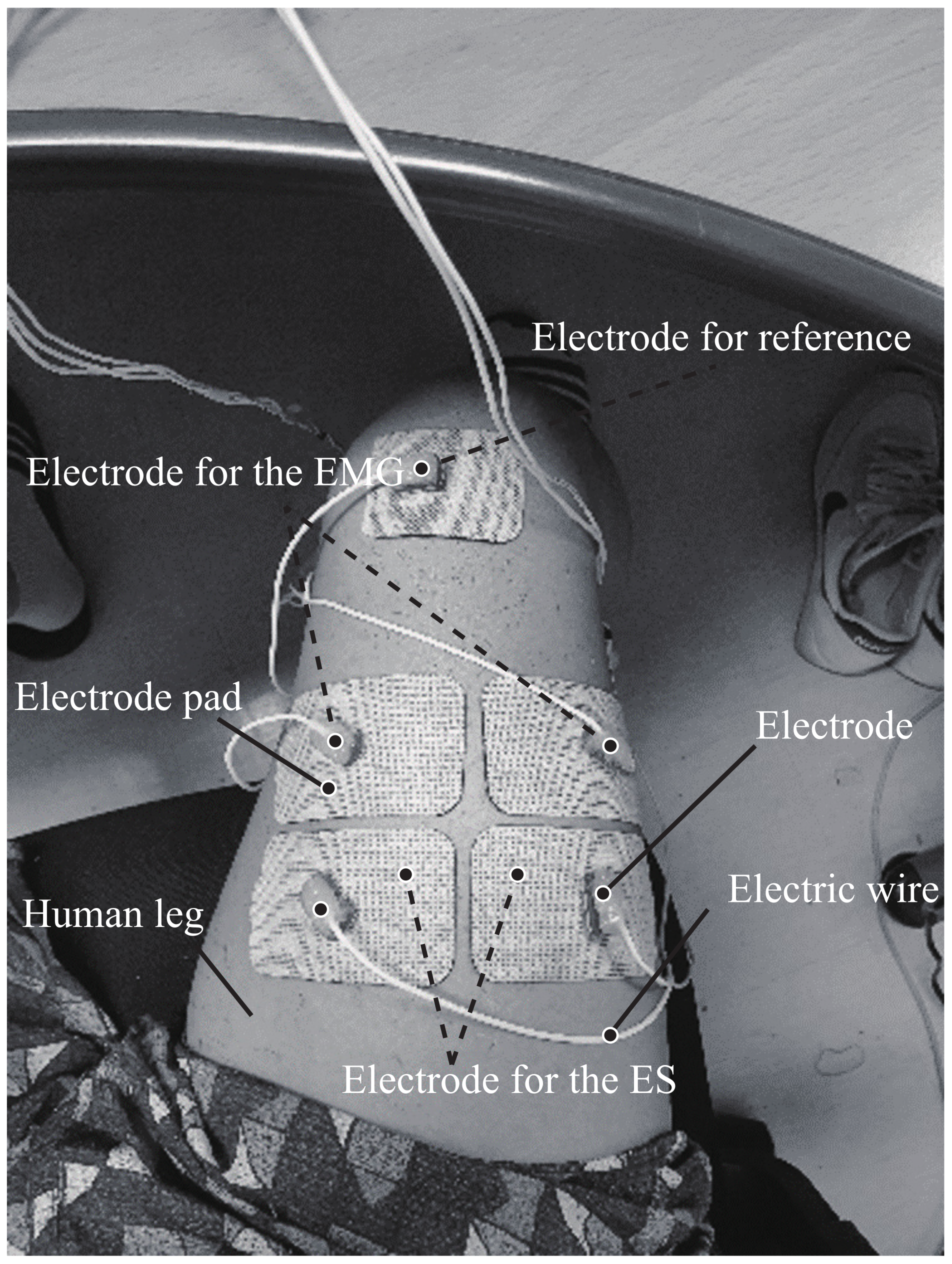 Applsci 11 08676 g001 550