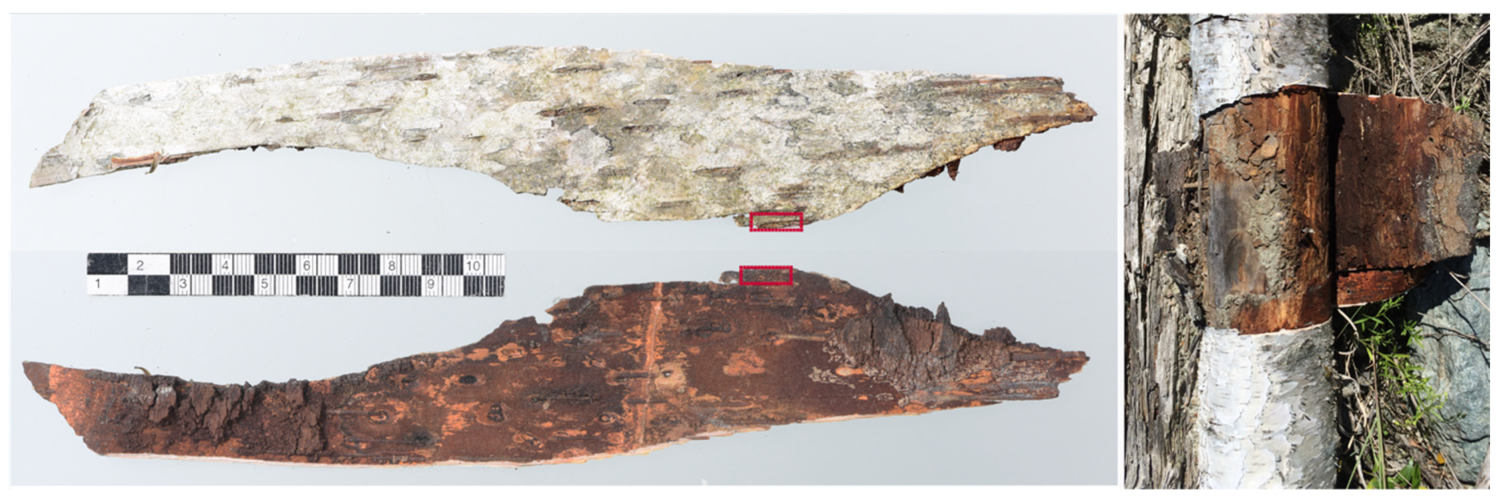 Applsci 11 08721 g003 550