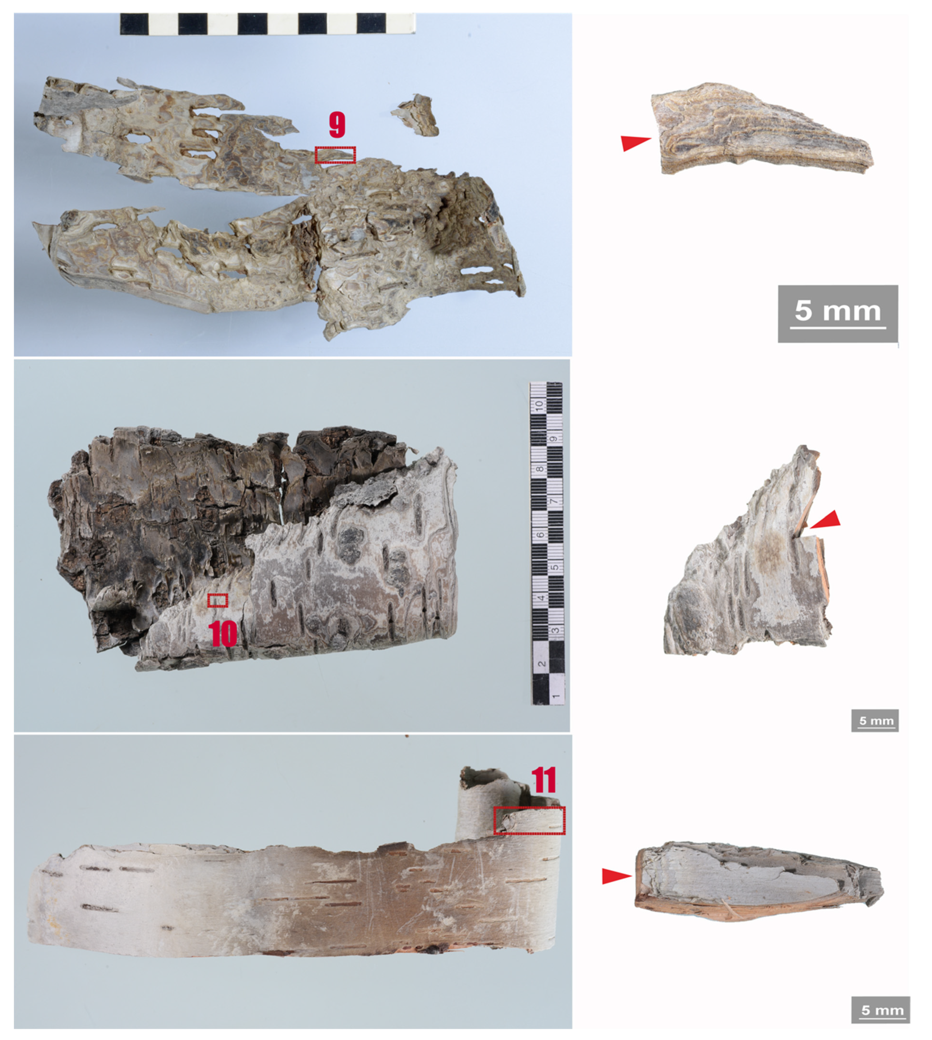 Applsci 11 08721 g005 550