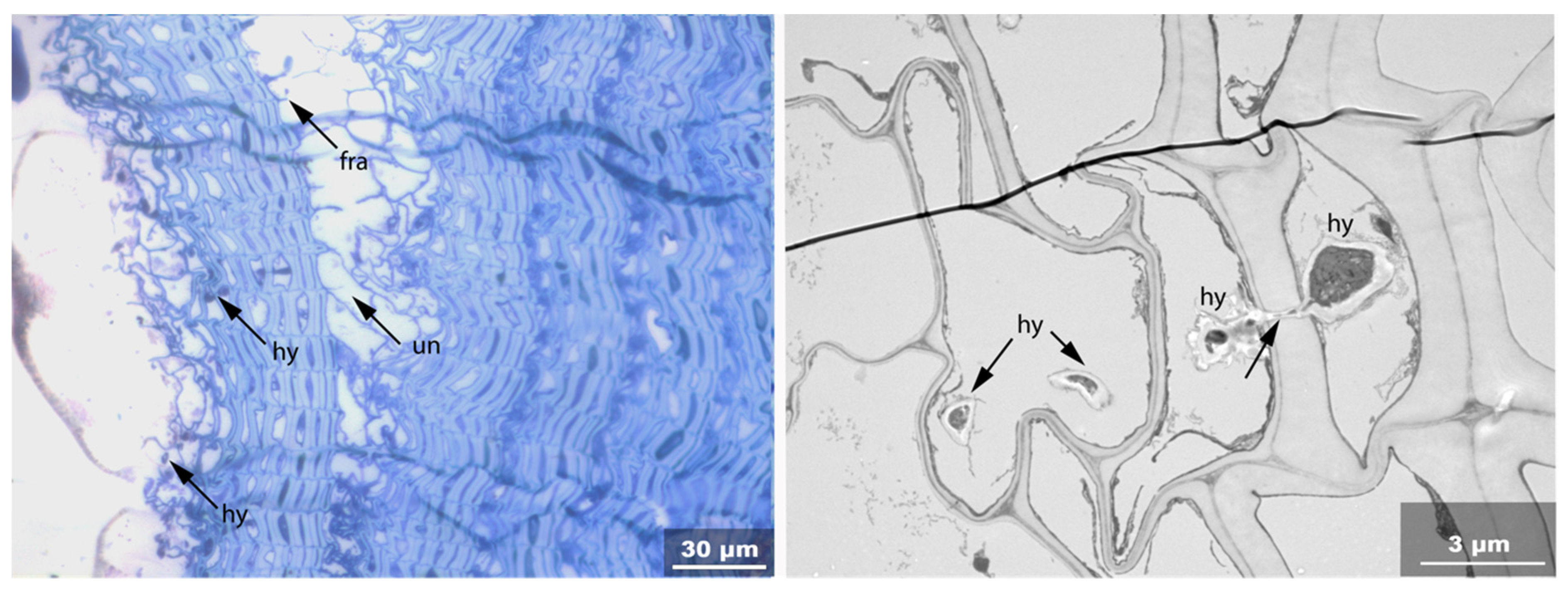 Applsci 11 08721 g010 550