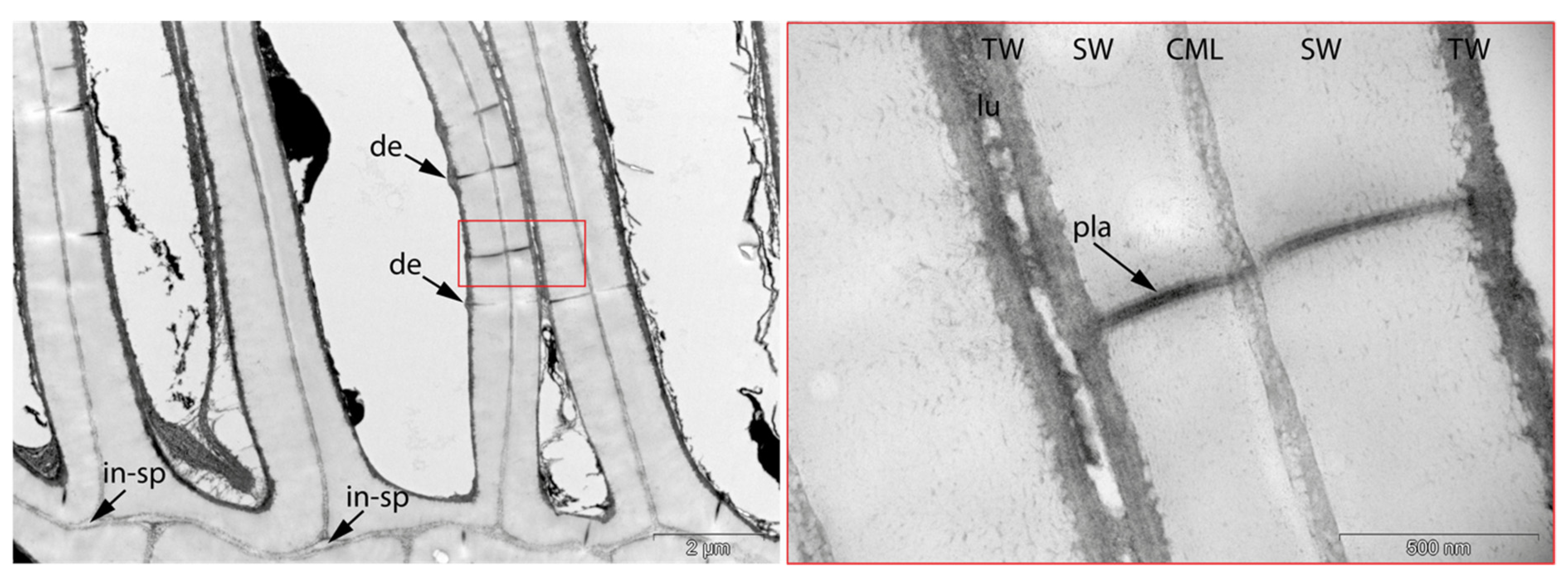 Applsci 11 08721 g012 550