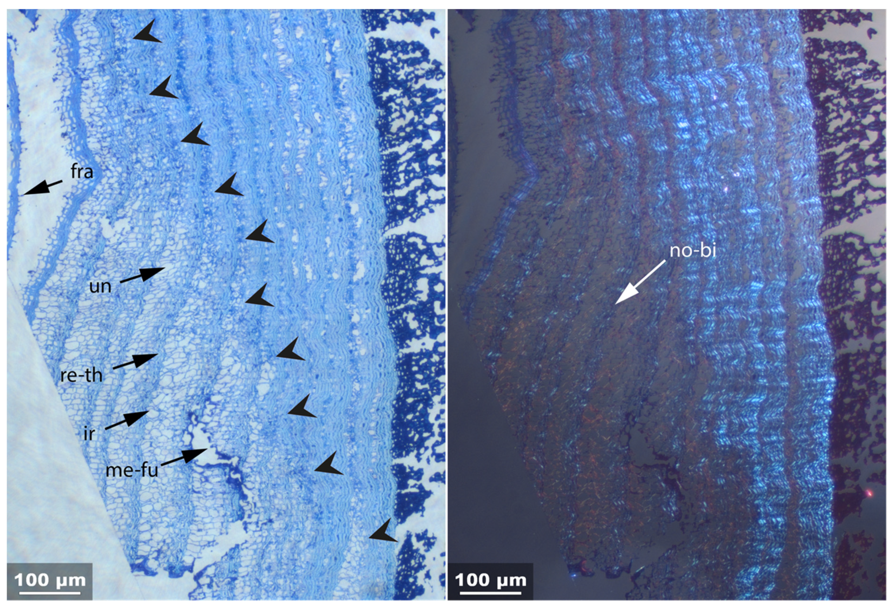 Applsci 11 08721 g013 550