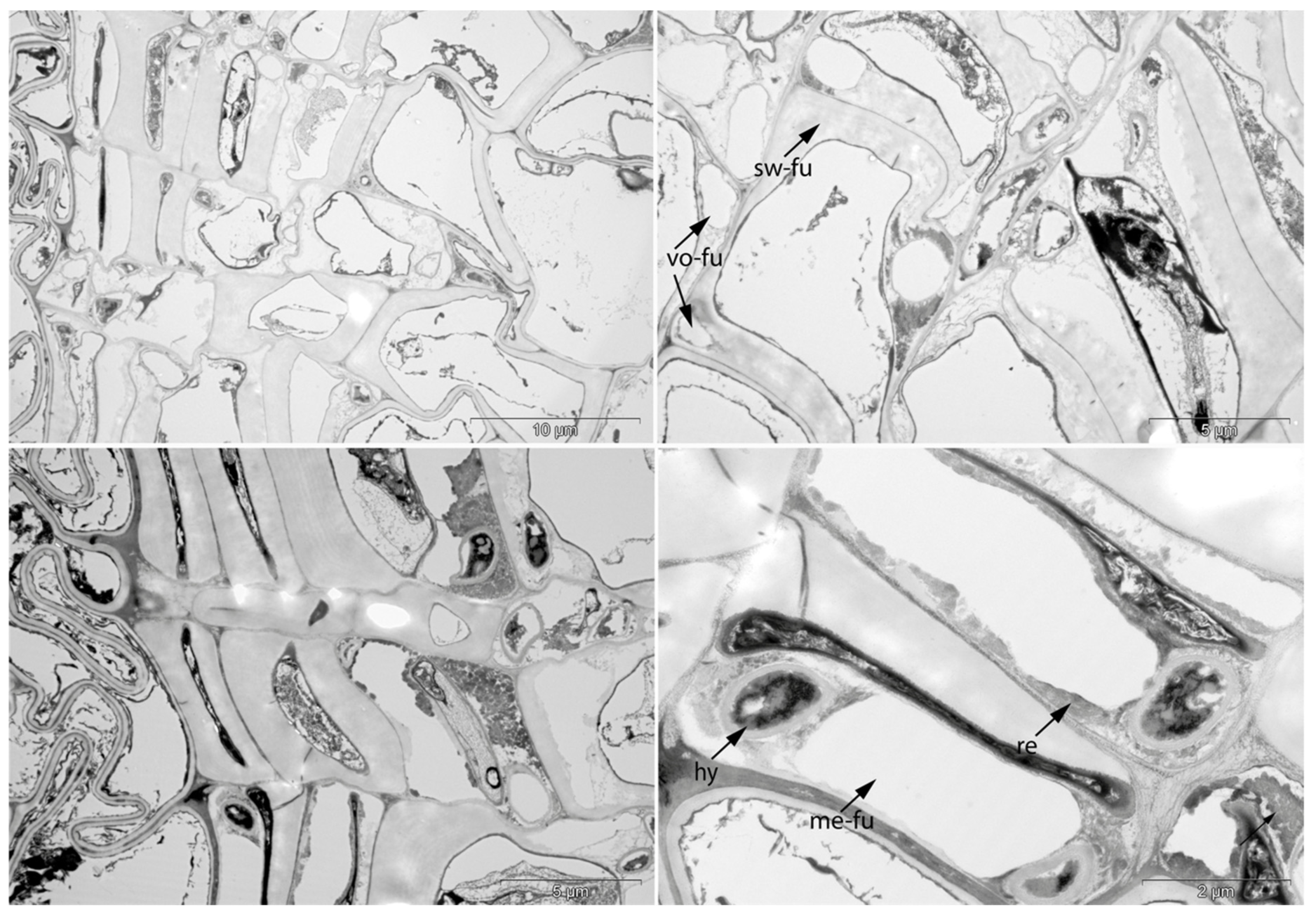 Applsci 11 08721 g015 550