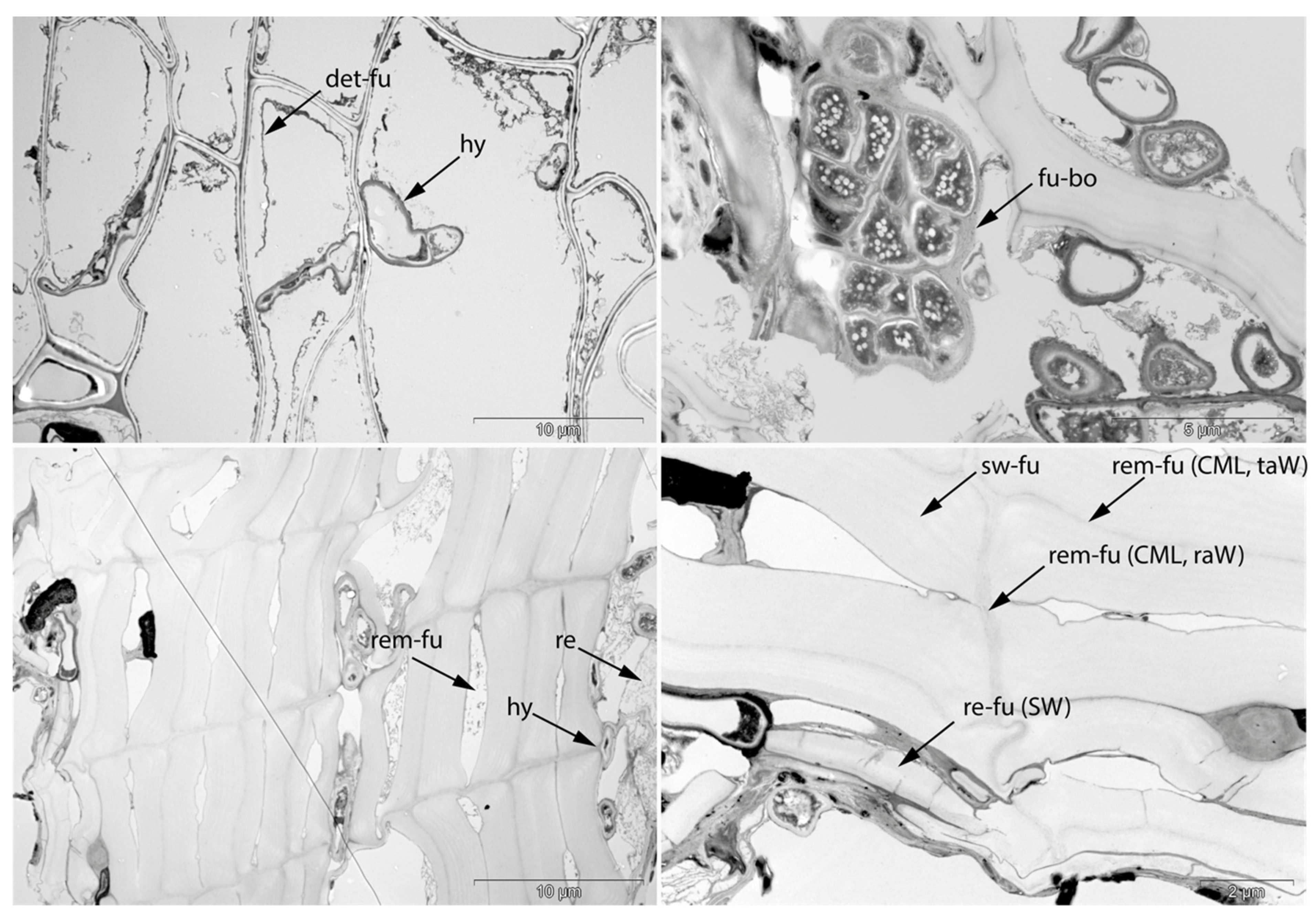 Applsci 11 08721 g016 550