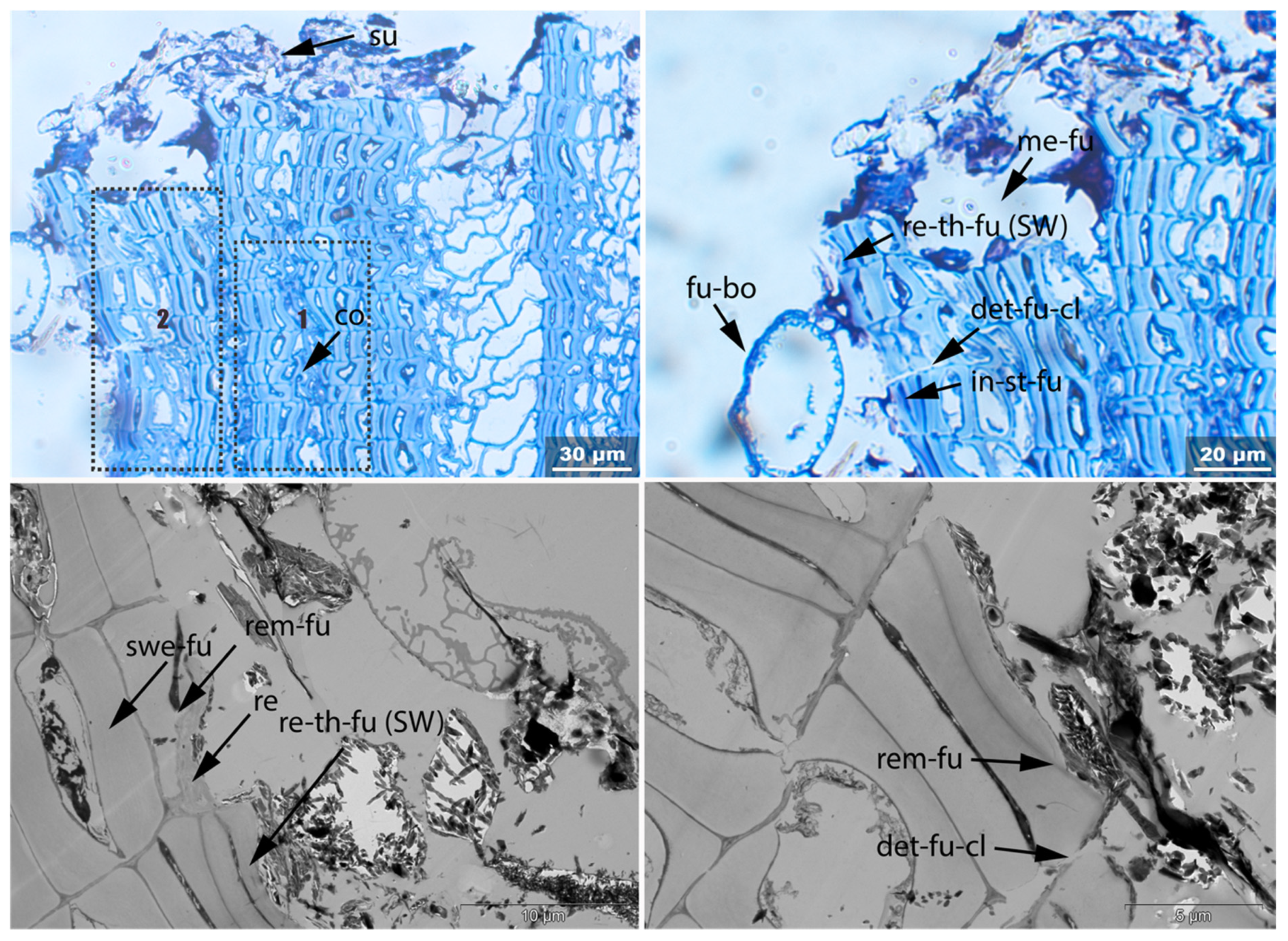 Applsci 11 08721 g017 550