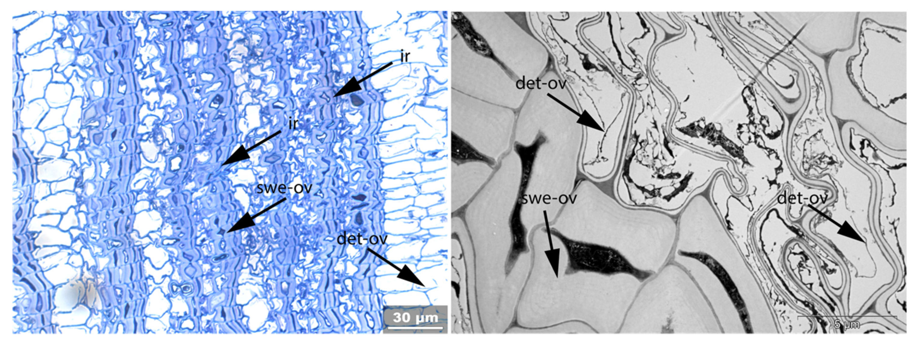 Applsci 11 08721 g019 550
