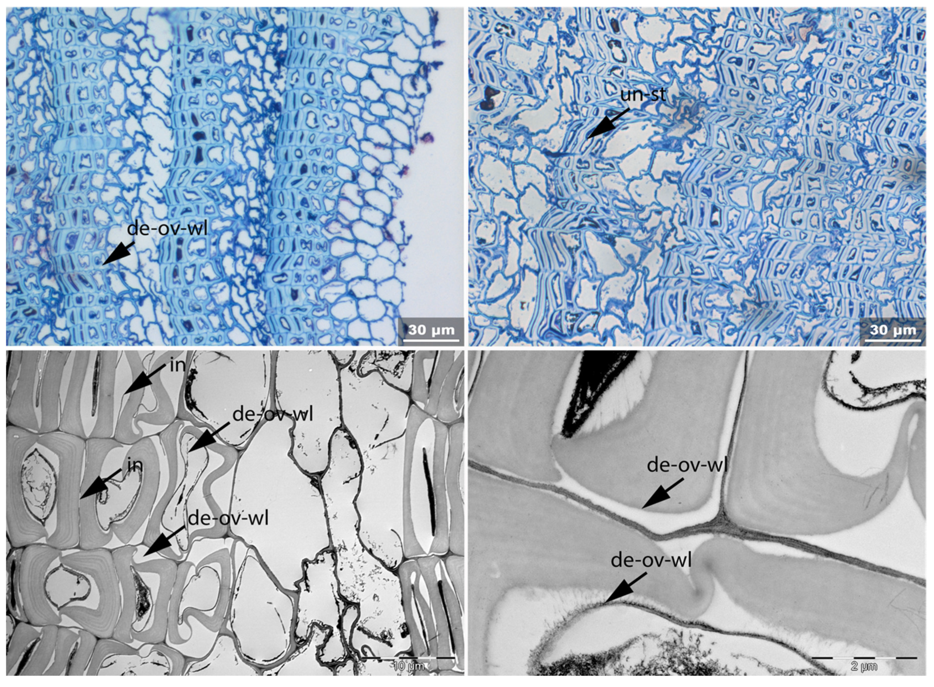 Applsci 11 08721 g021 550