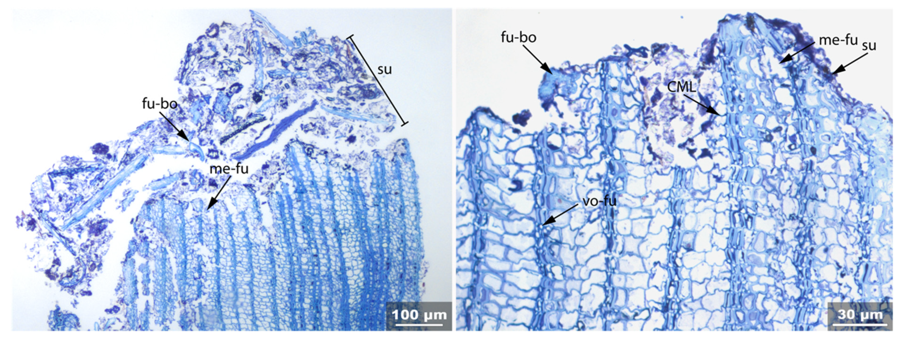 Applsci 11 08721 g022 550