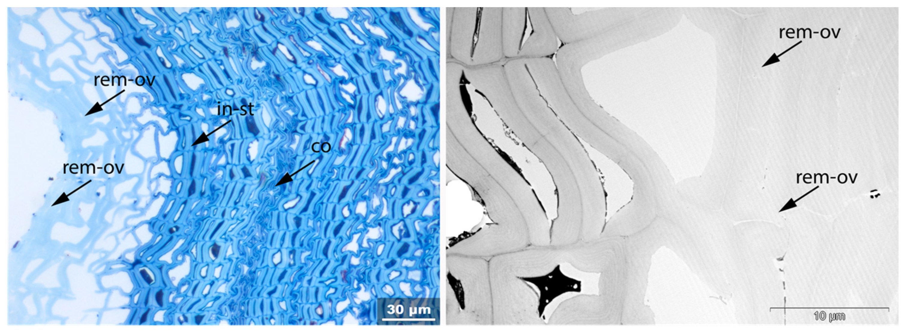 Applsci 11 08721 g023 550