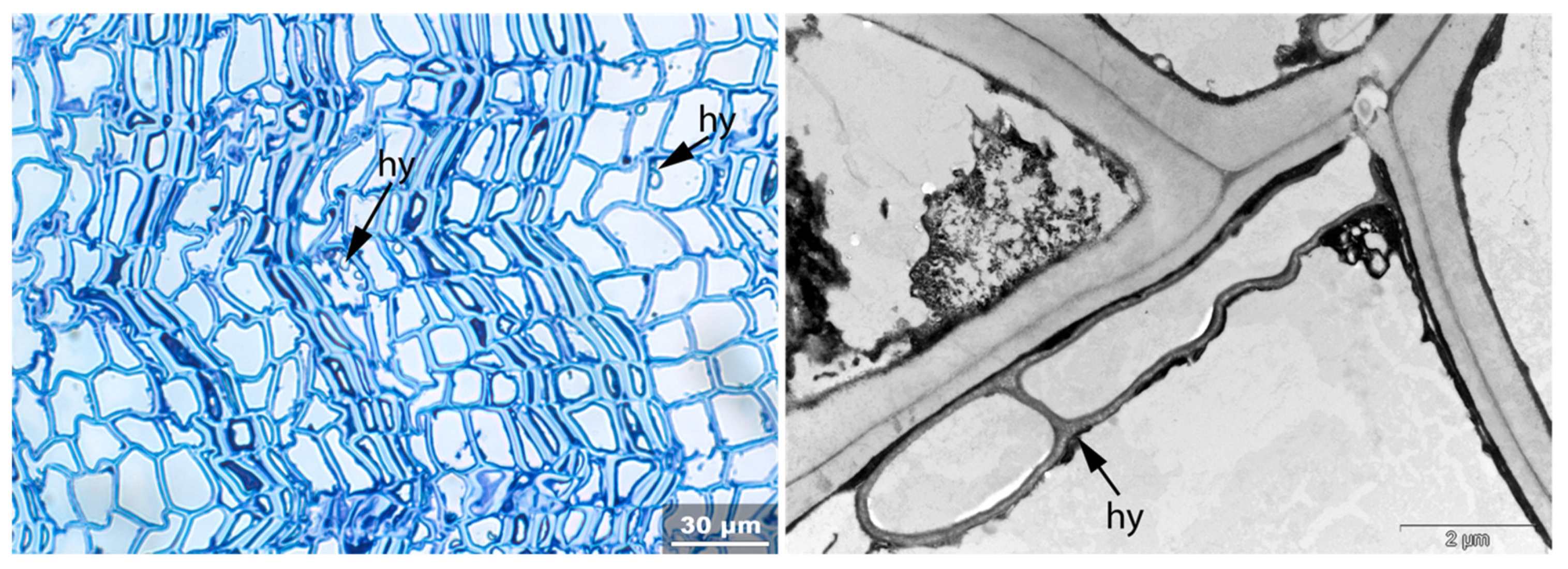 Applsci 11 08721 g024 550