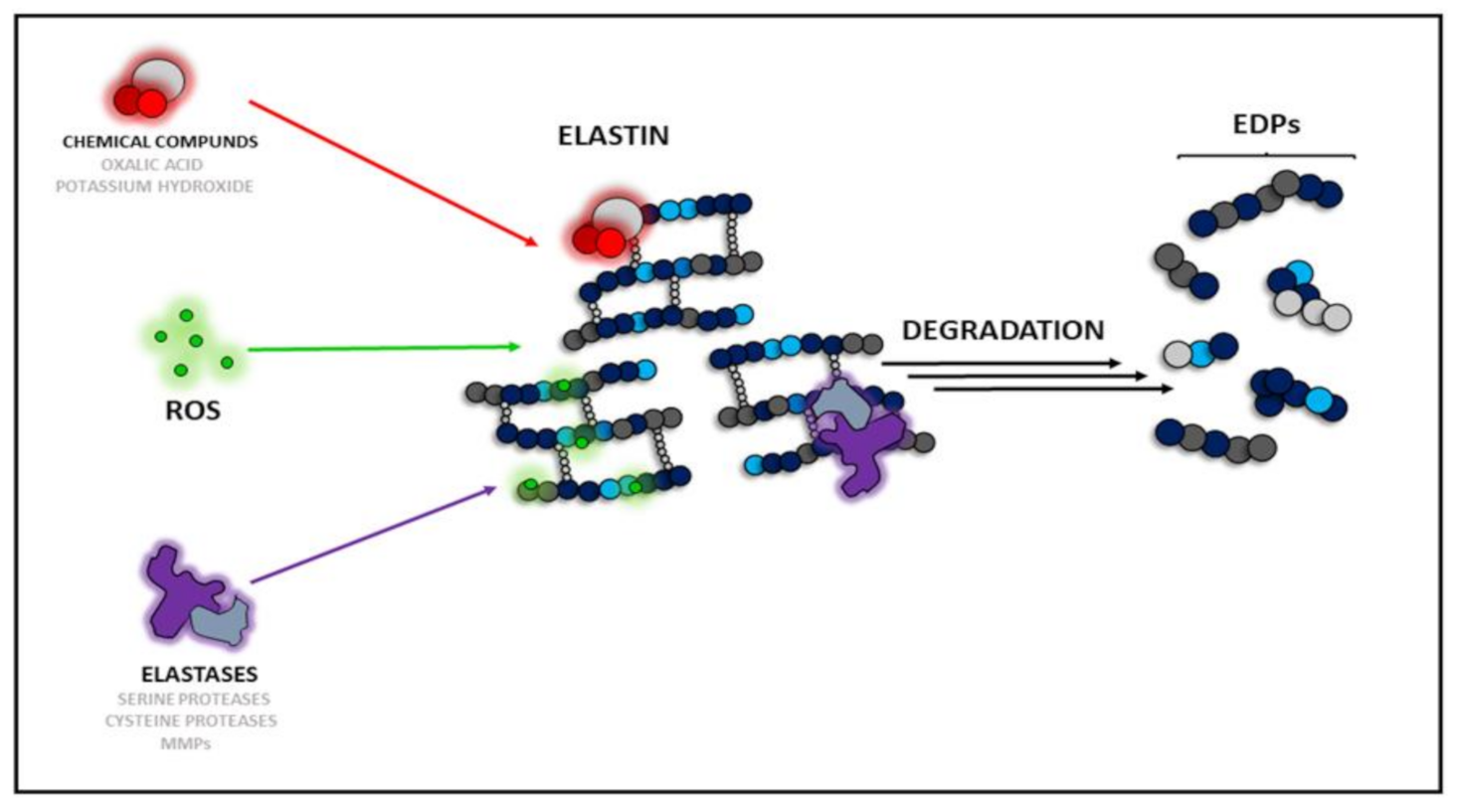 Applsci 11 08732 g001 Applsci 11 08732 g001