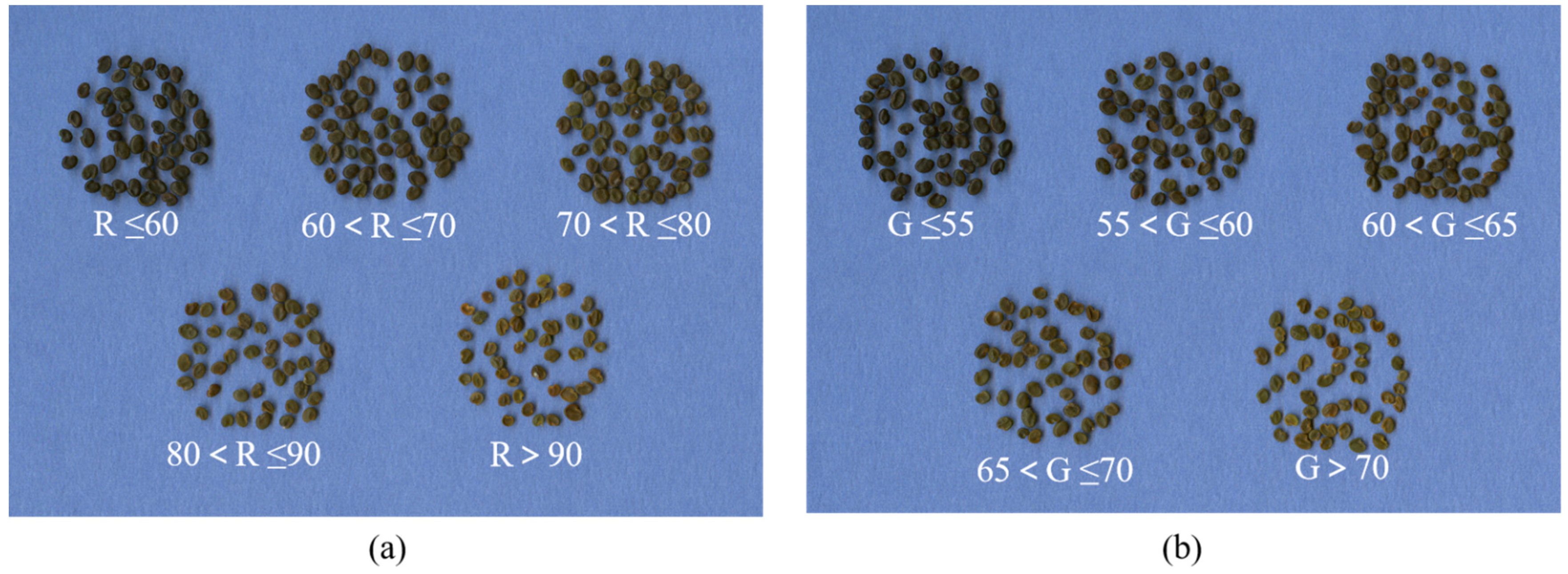 Applsci 11 08744 g007 Applsci 11 08744 g007