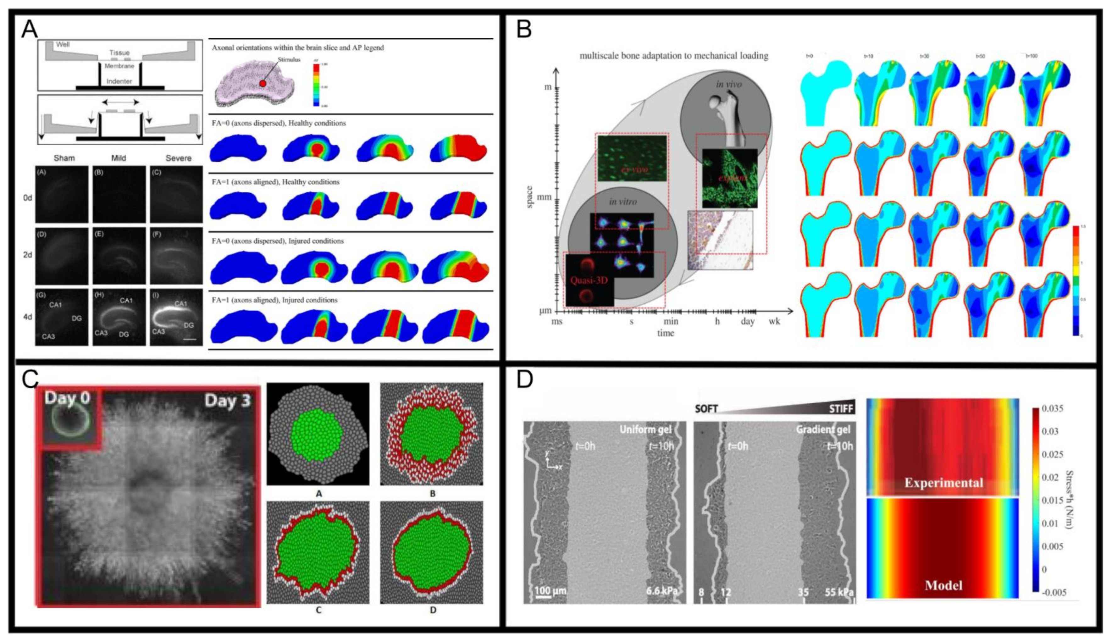 Applsci 11 08746 g001
