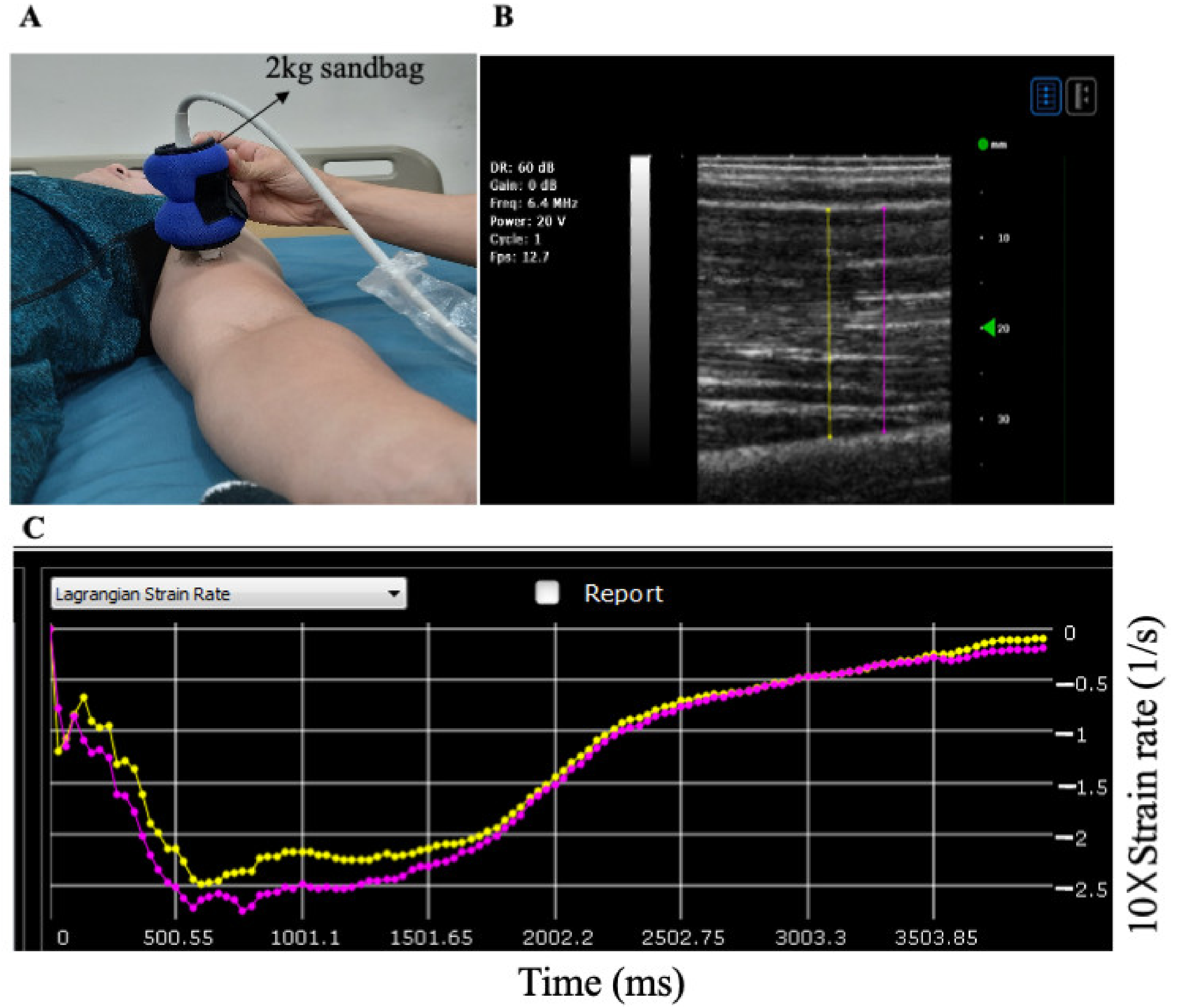 Applsci 11 08783 g001 Applsci 11 08783 g001