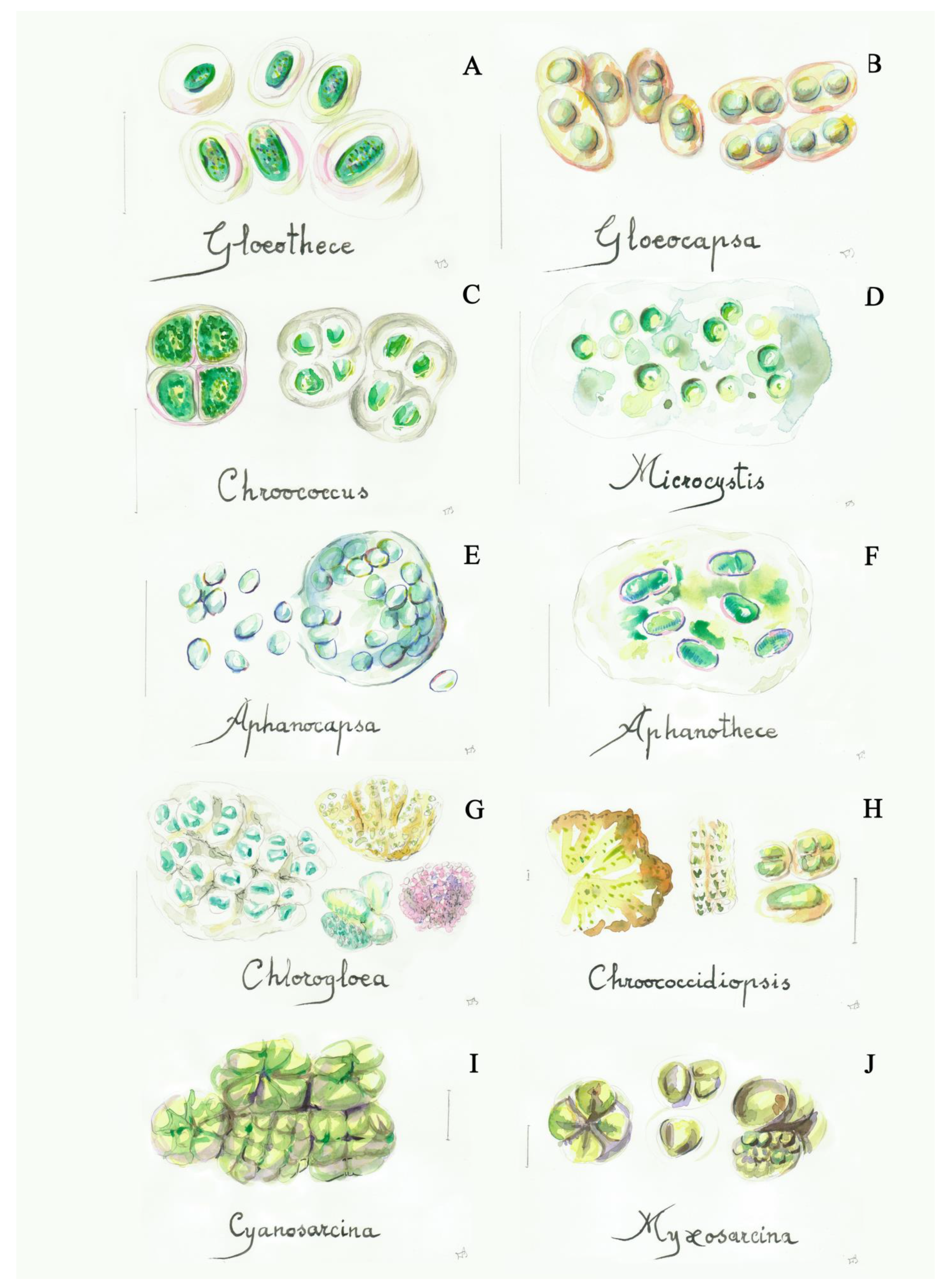 Applsci 11 08787 g001