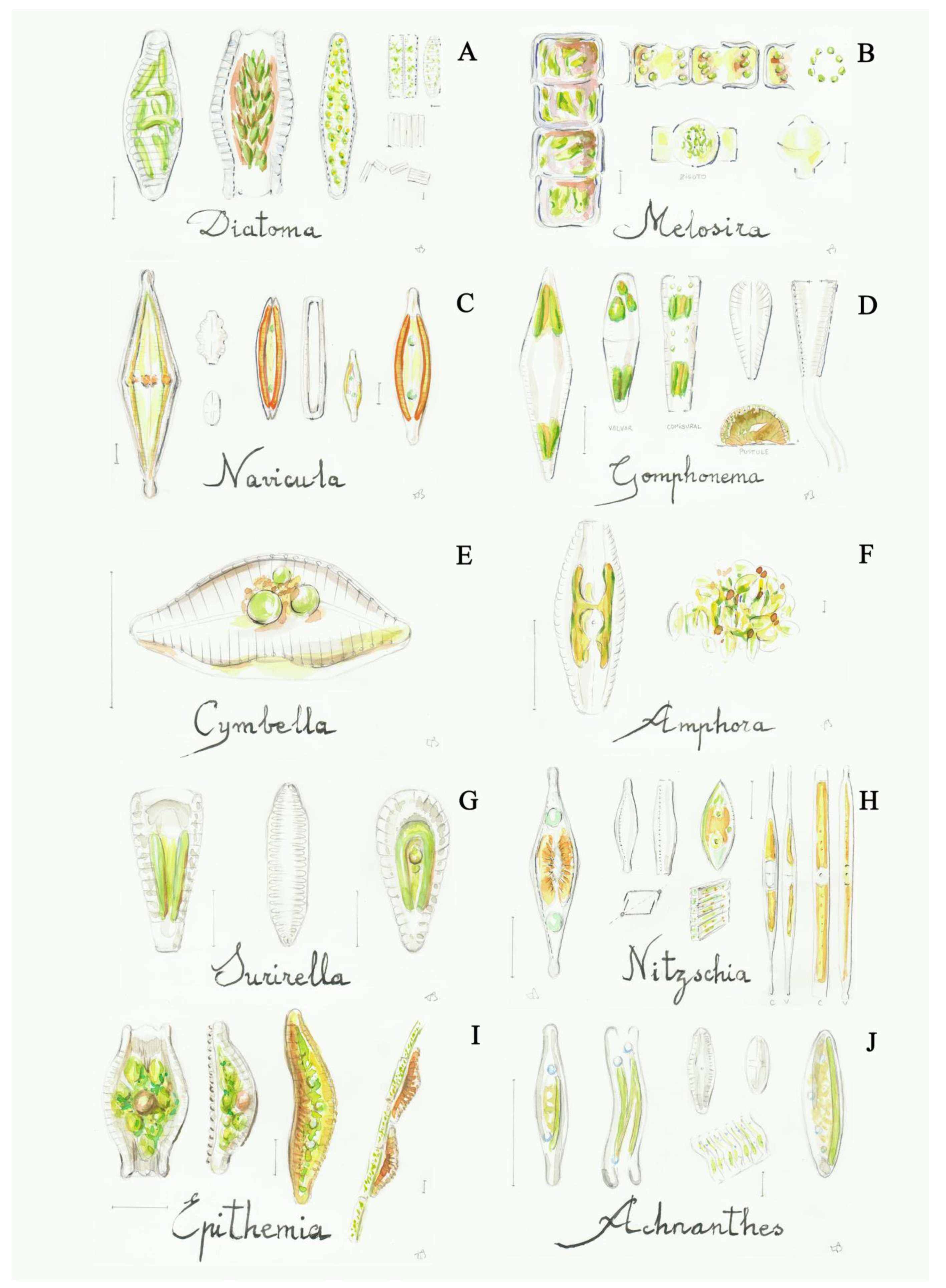 Applsci 11 08787 g005