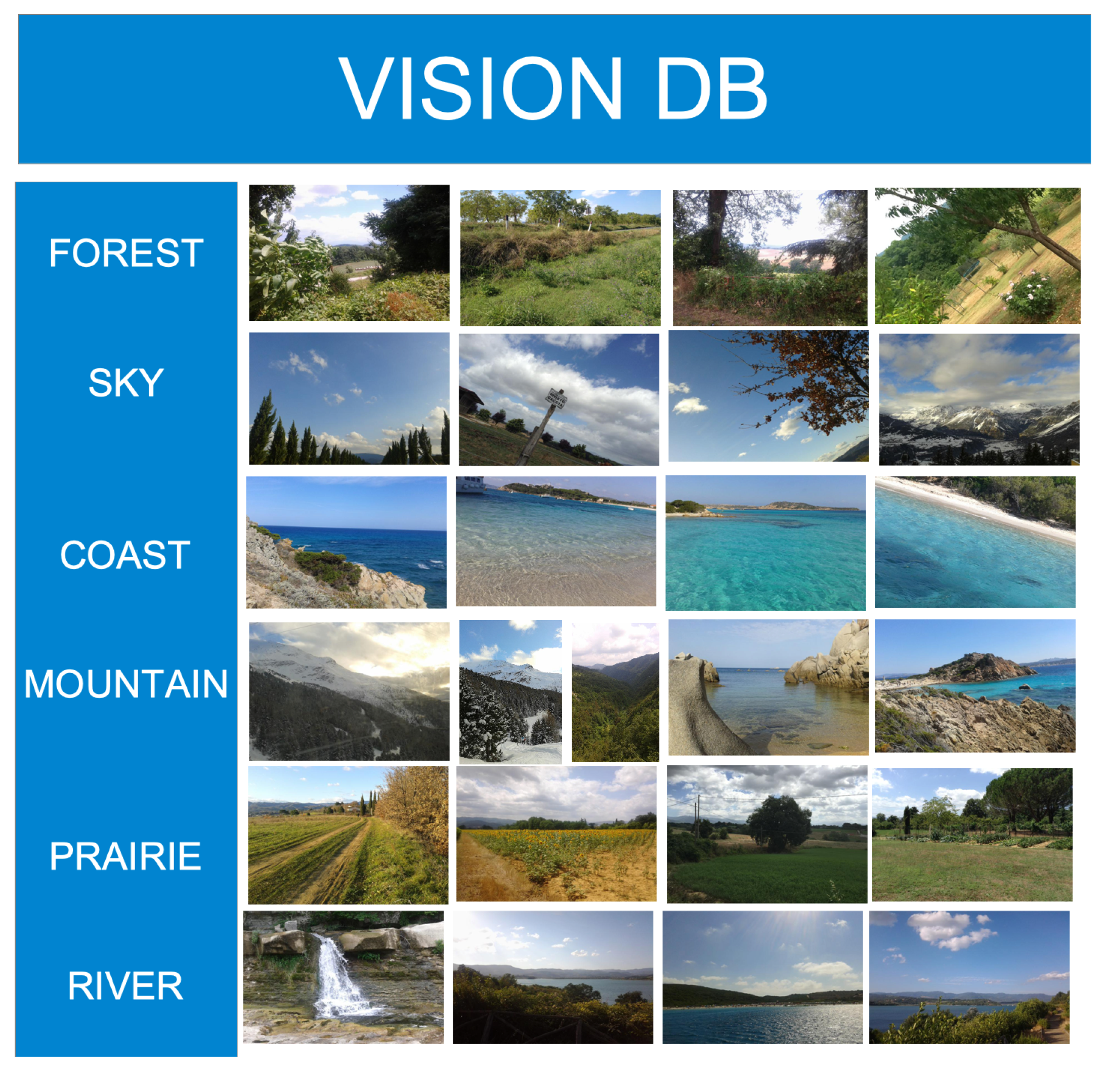 Applsci 11 08795 g011