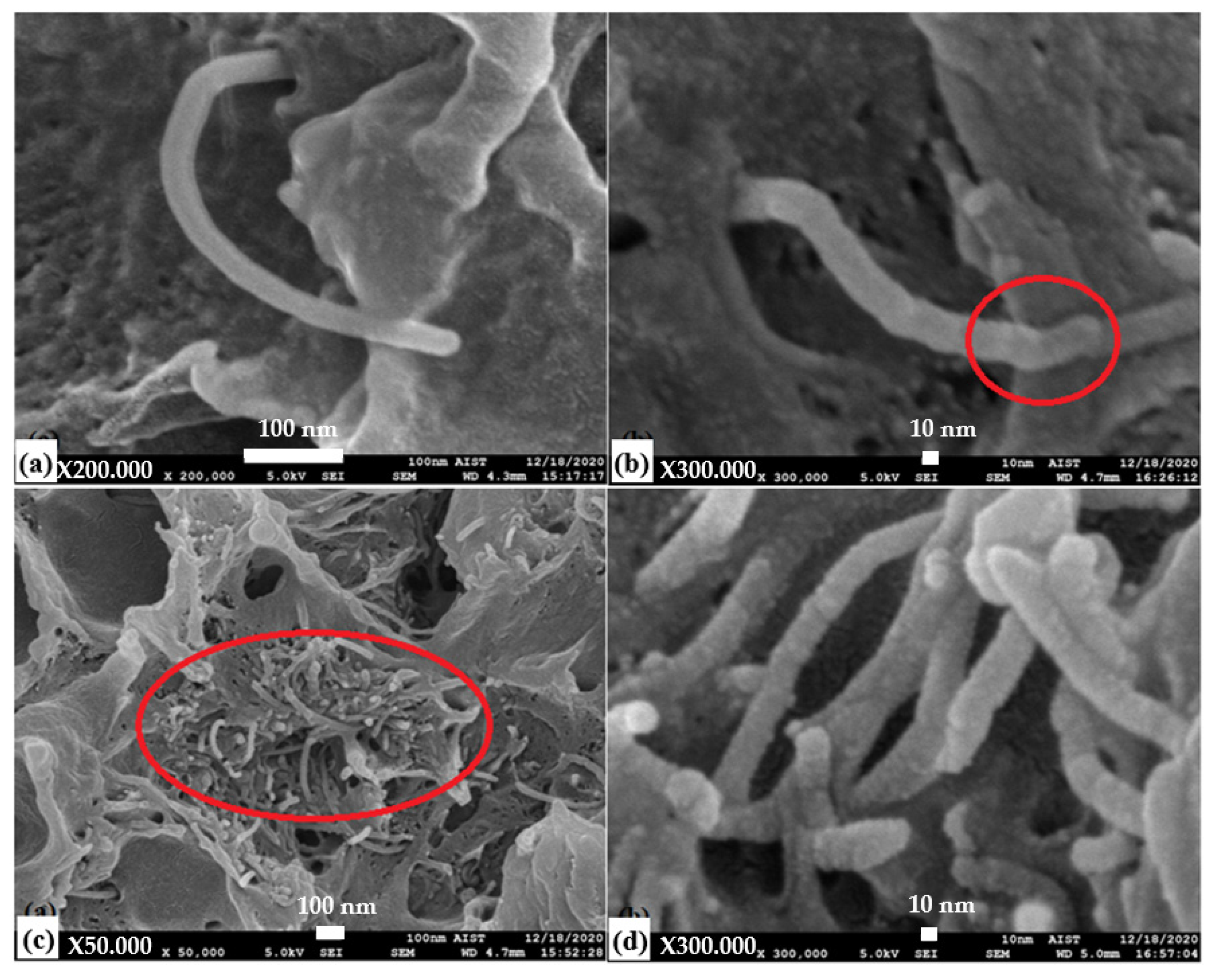 Applsci 11 08798 g008