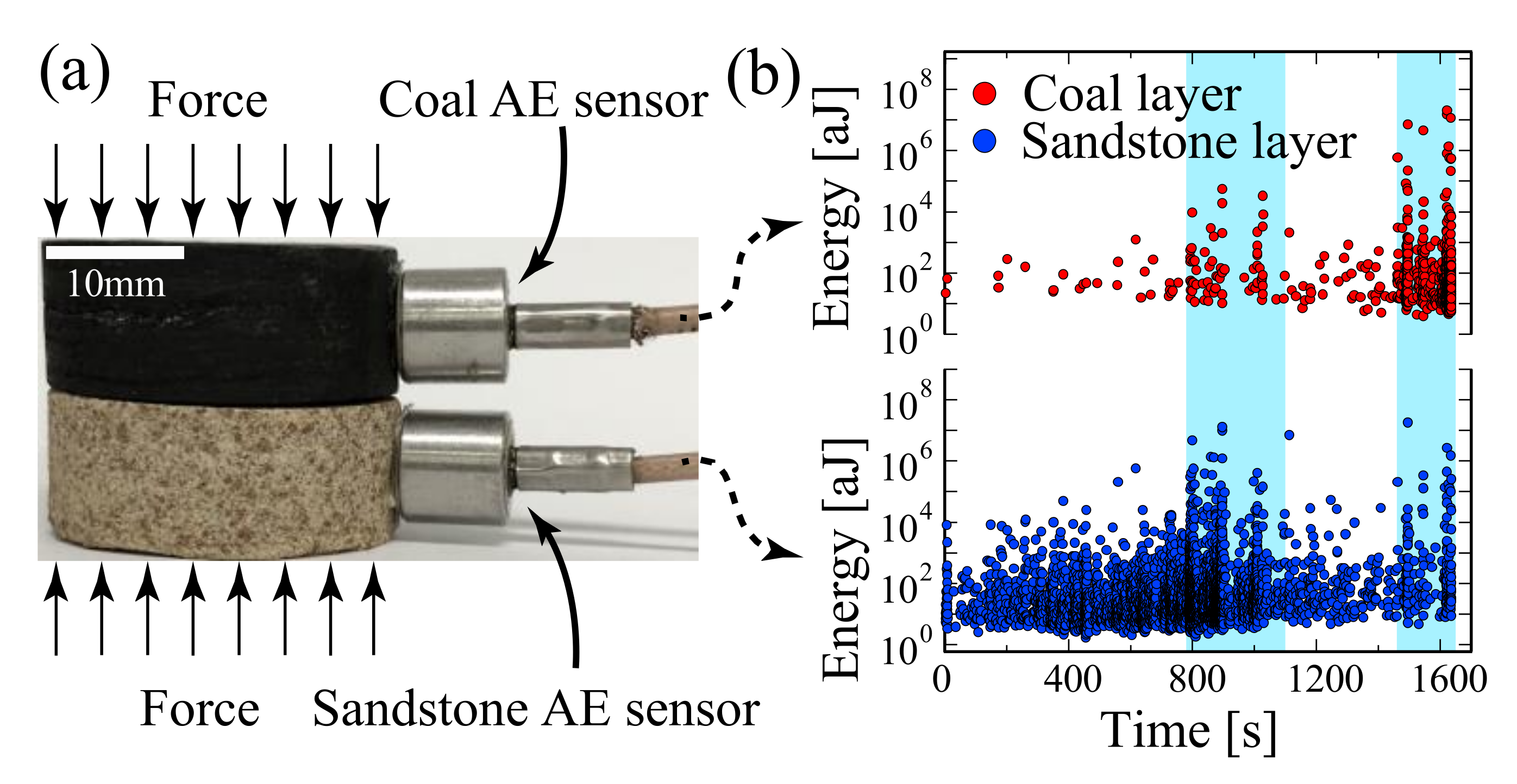 Applsci 11 08801 g006