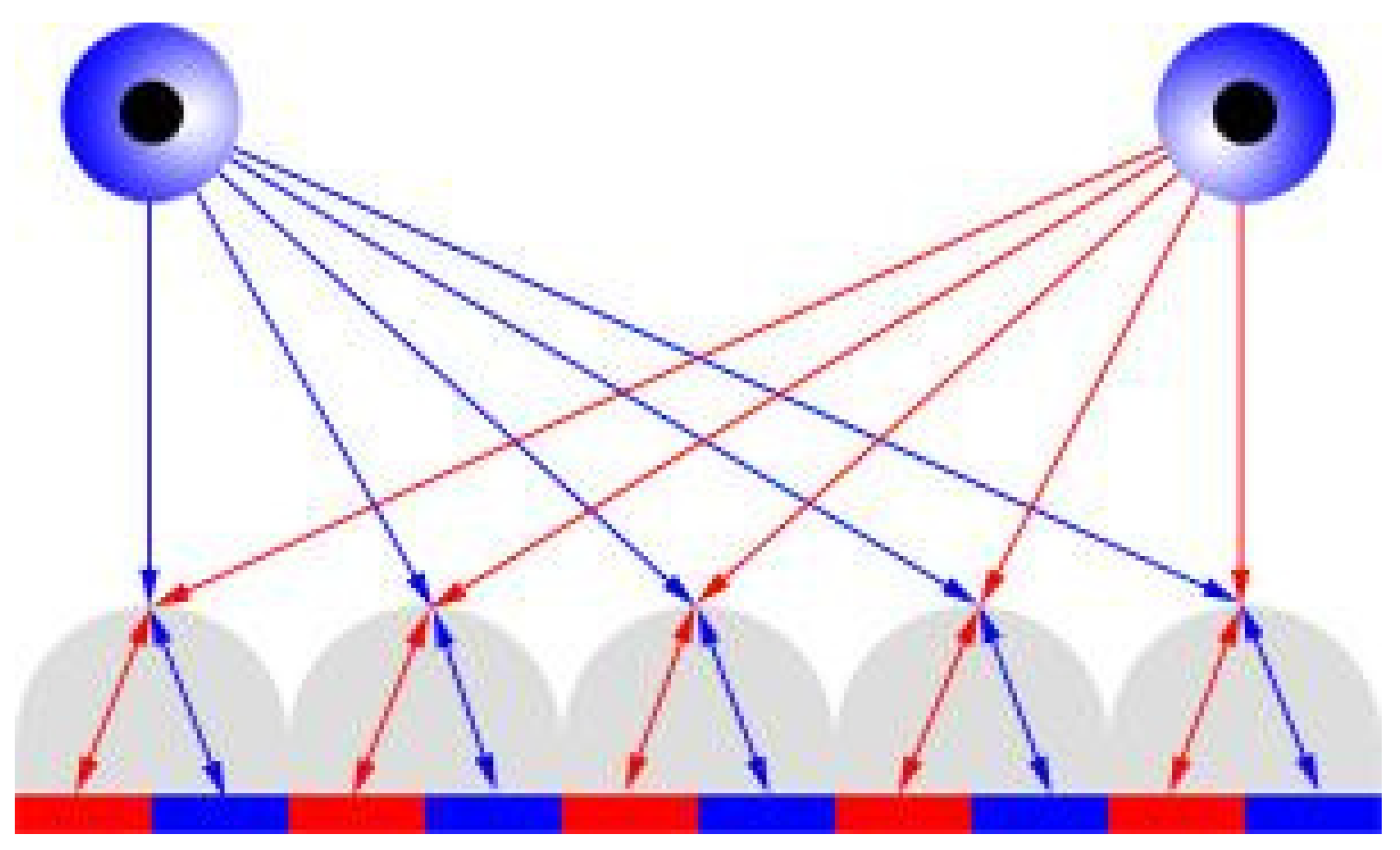 Applsci 11 08821 g008 550