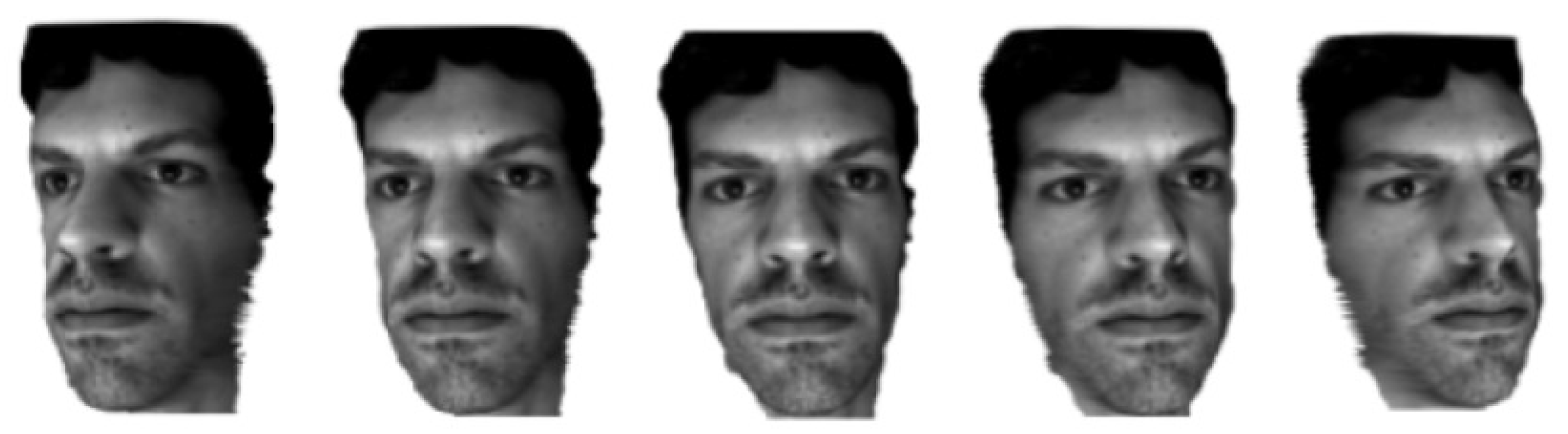 Applsci 11 08821 g019 550