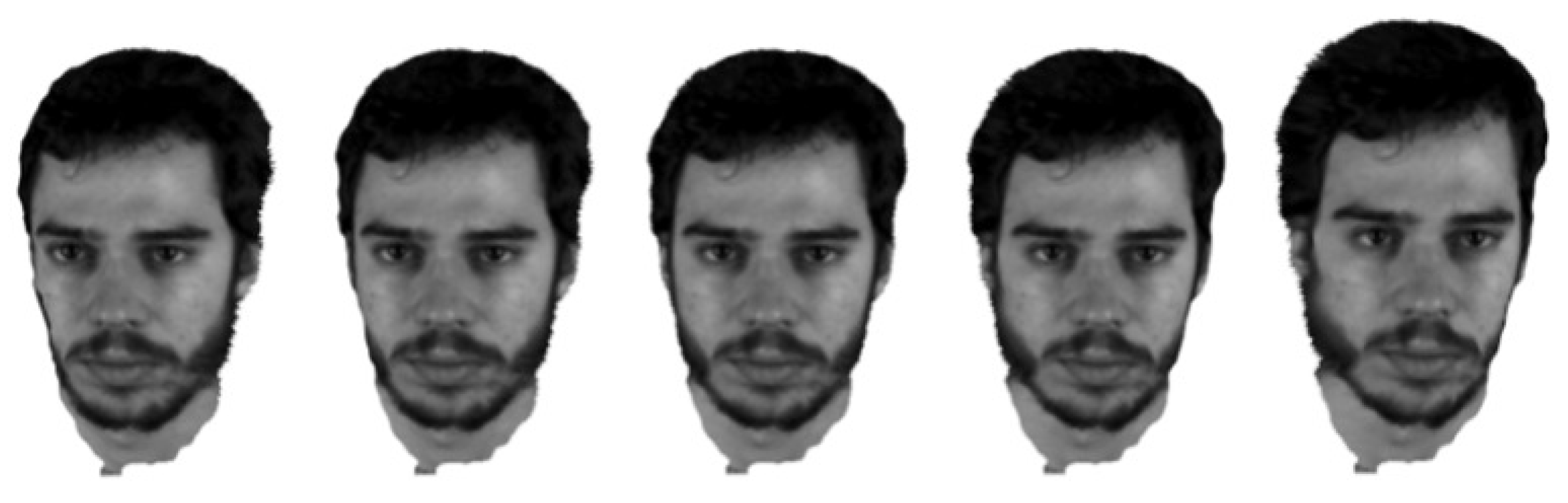 Applsci 11 08821 g021 550