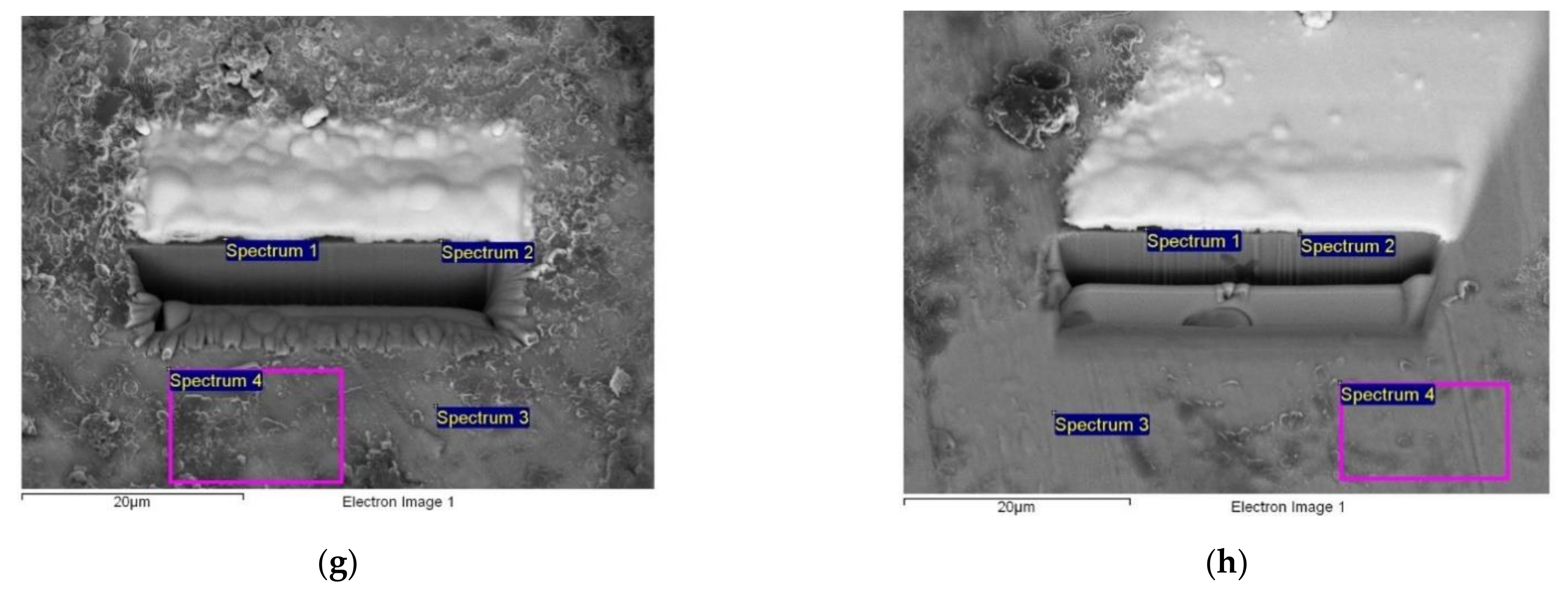 Applsci 11 08825 g004b 550